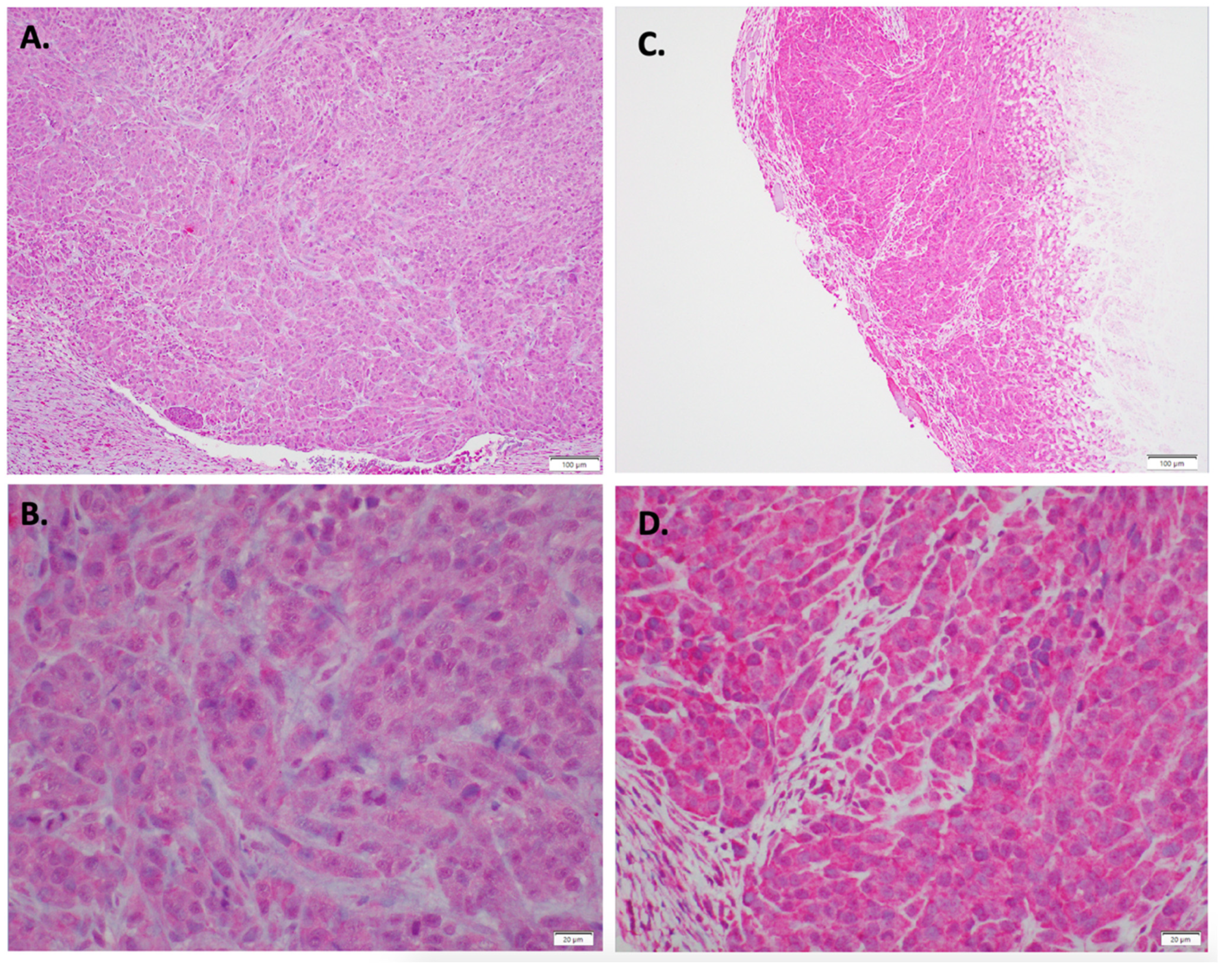 Antioxidants 11 00798 g005 550