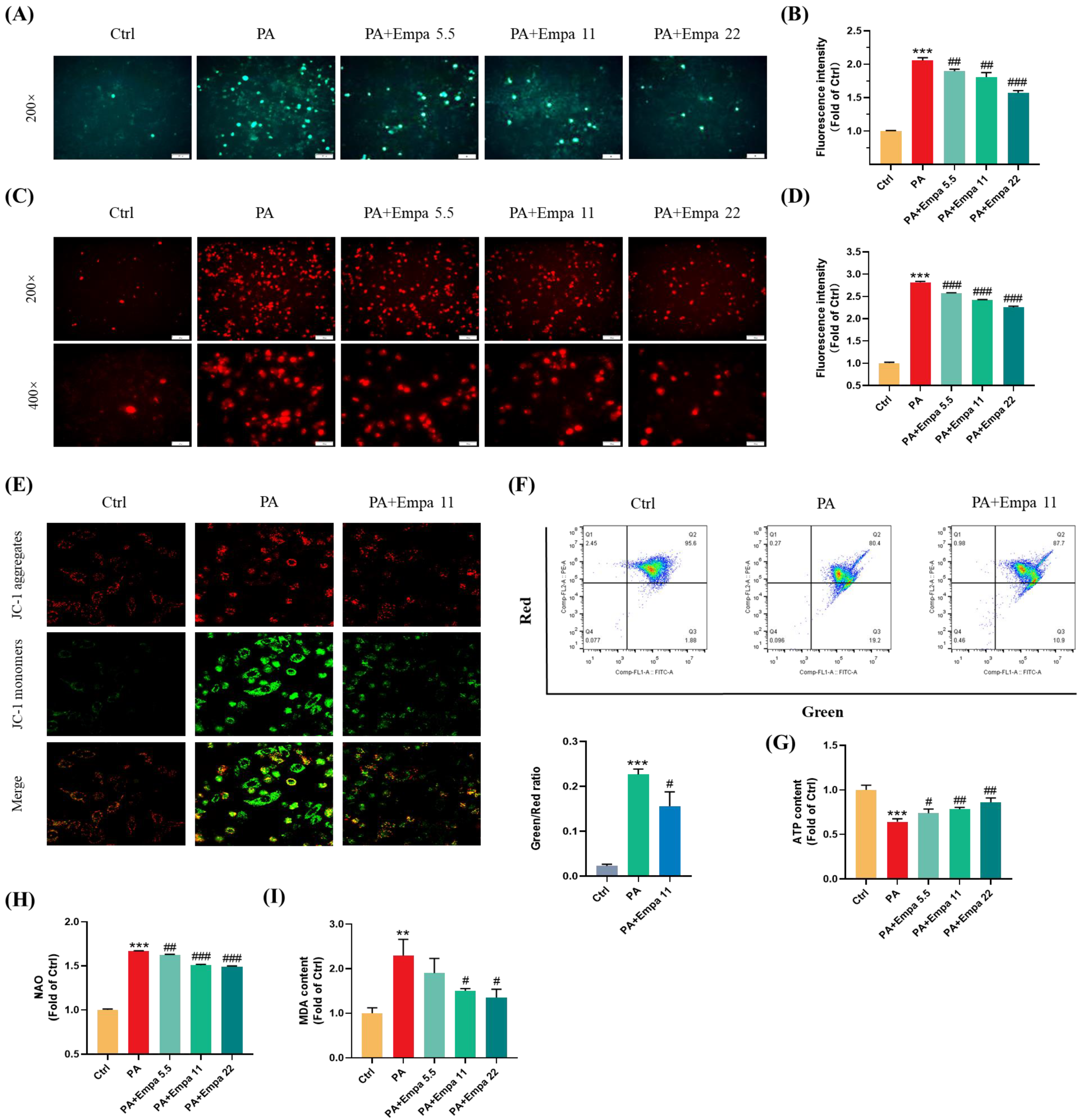 Antioxidants 11 00799 g002