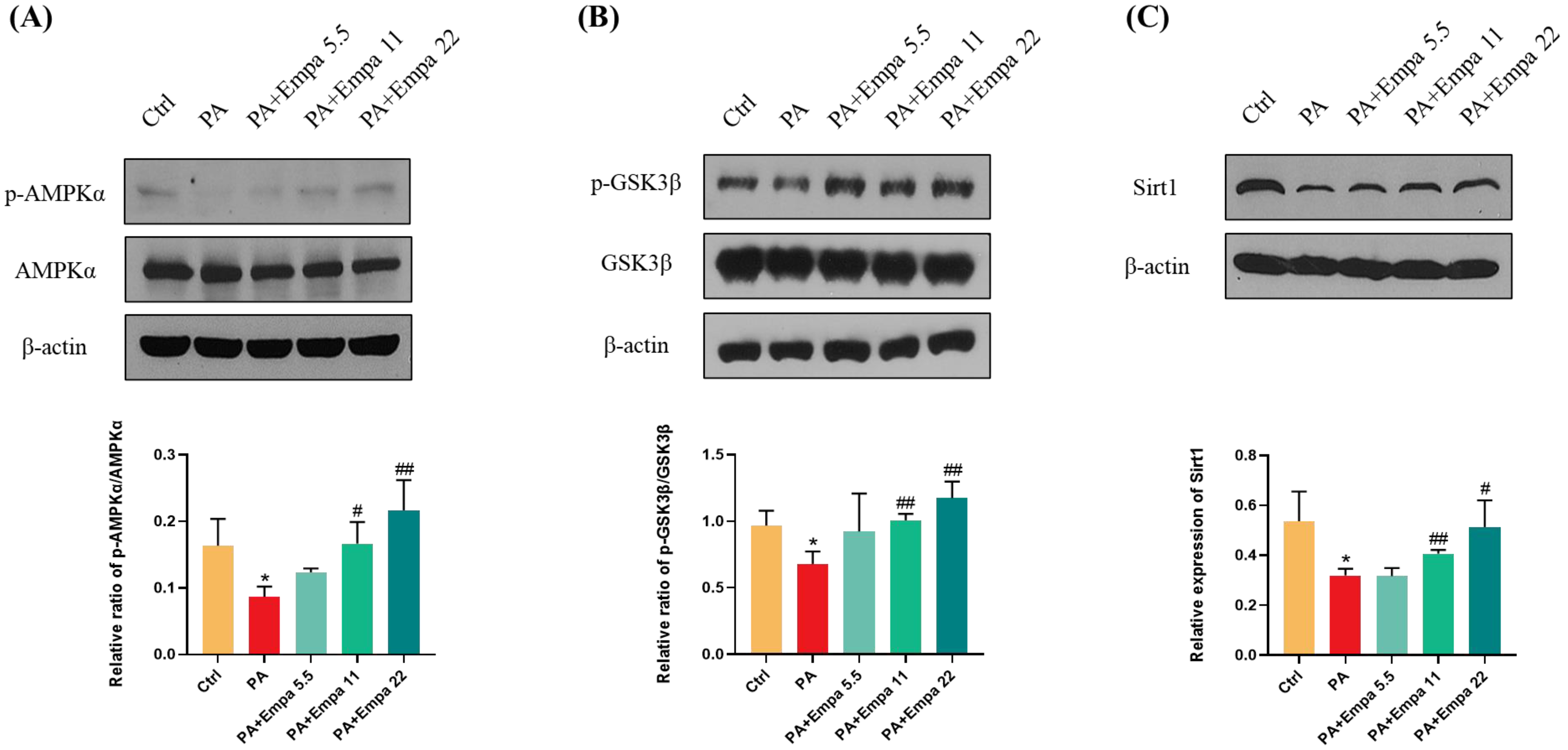 Antioxidants 11 00799 g005