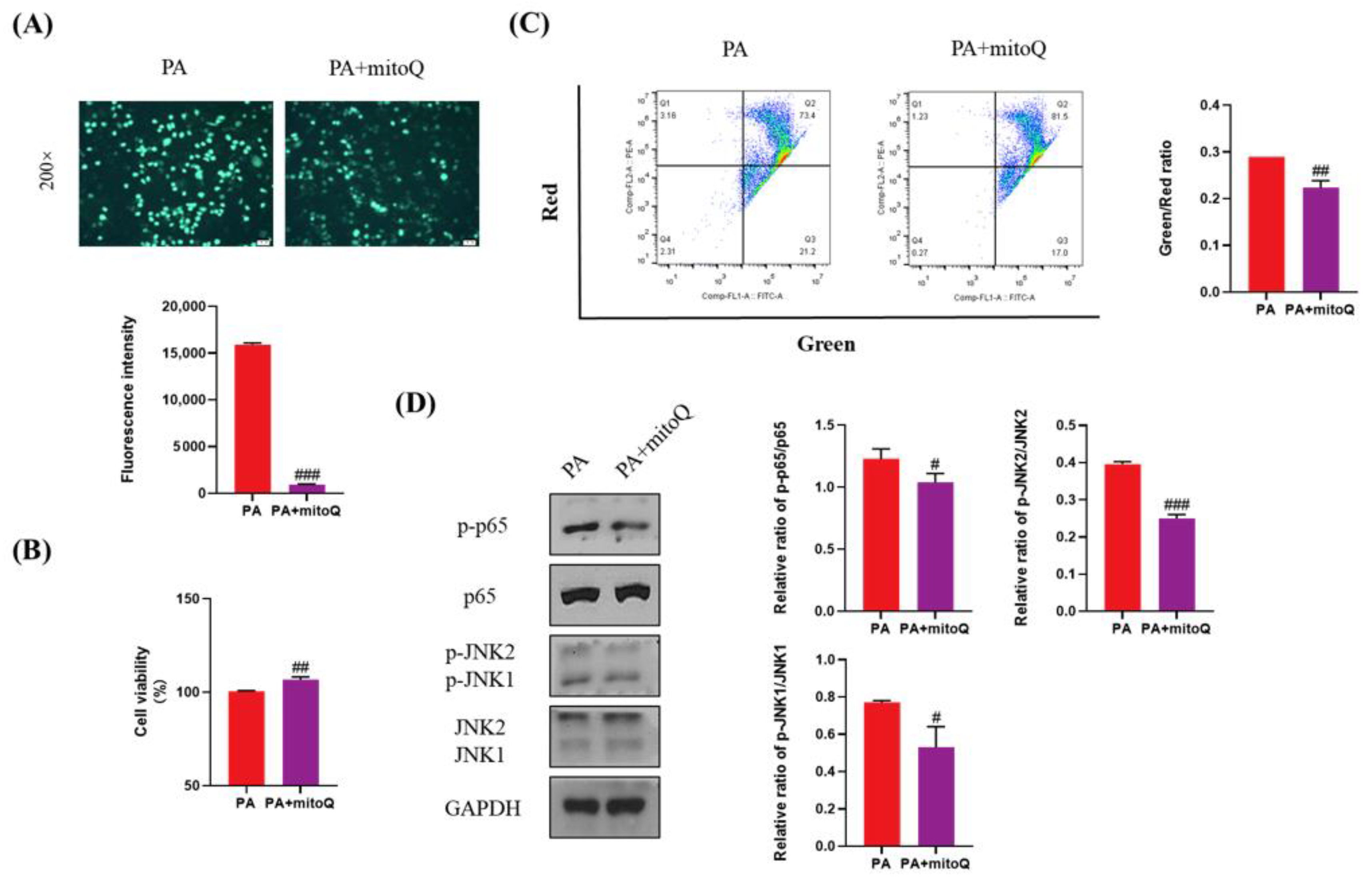 Antioxidants 11 00799 g007