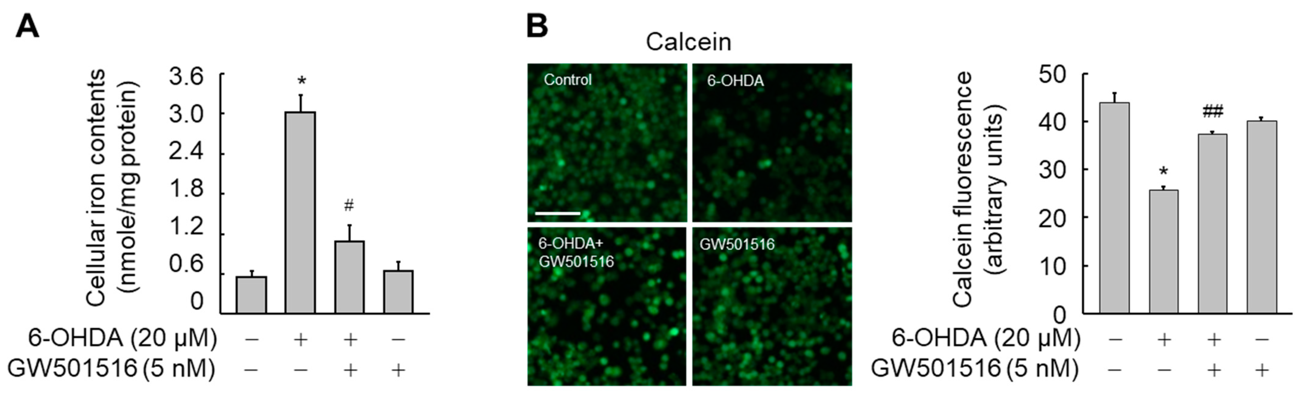 Antioxidants 11 00810 g002 Antioxidants 11 00810 g002