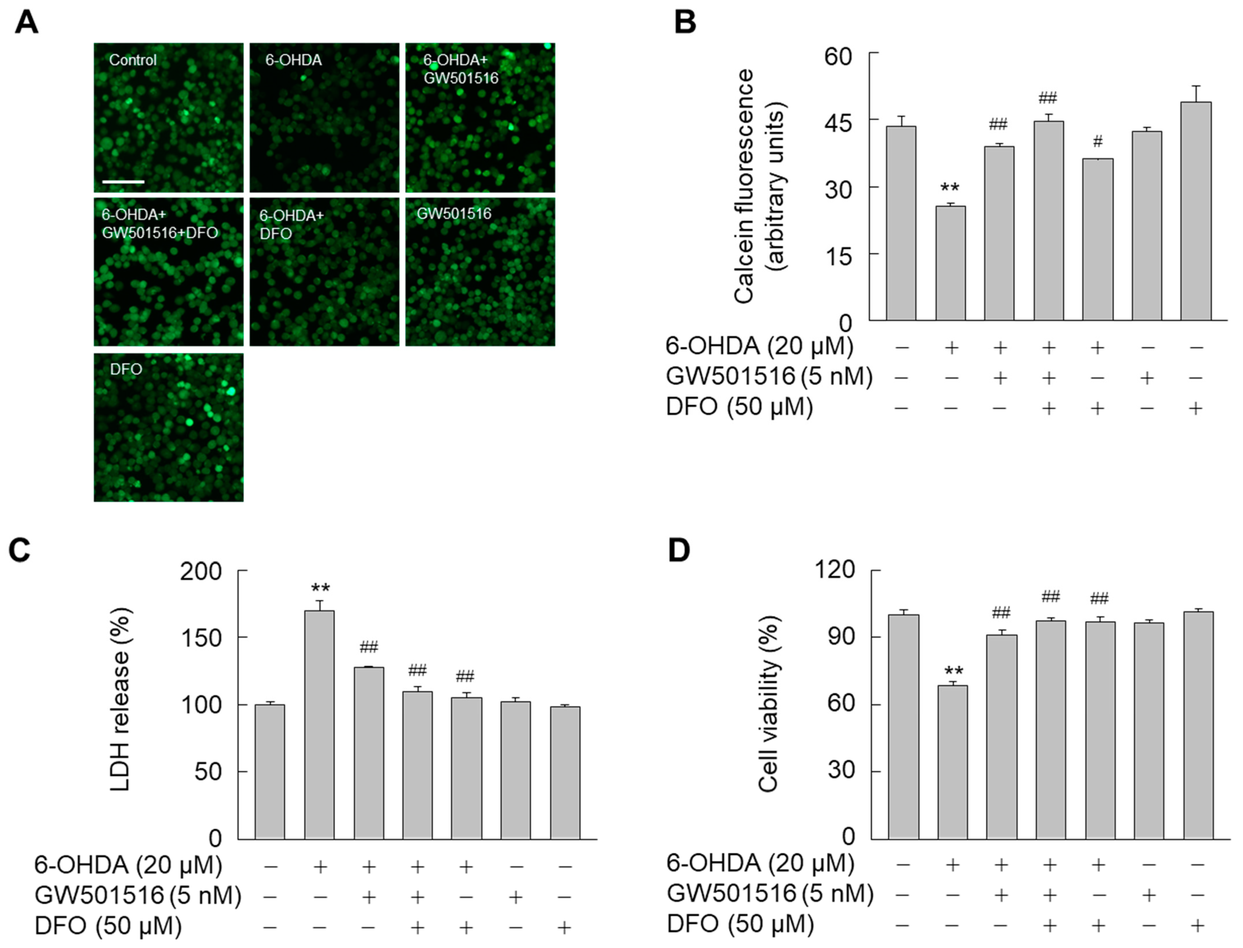 Antioxidants 11 00810 g003 Antioxidants 11 00810 g003
