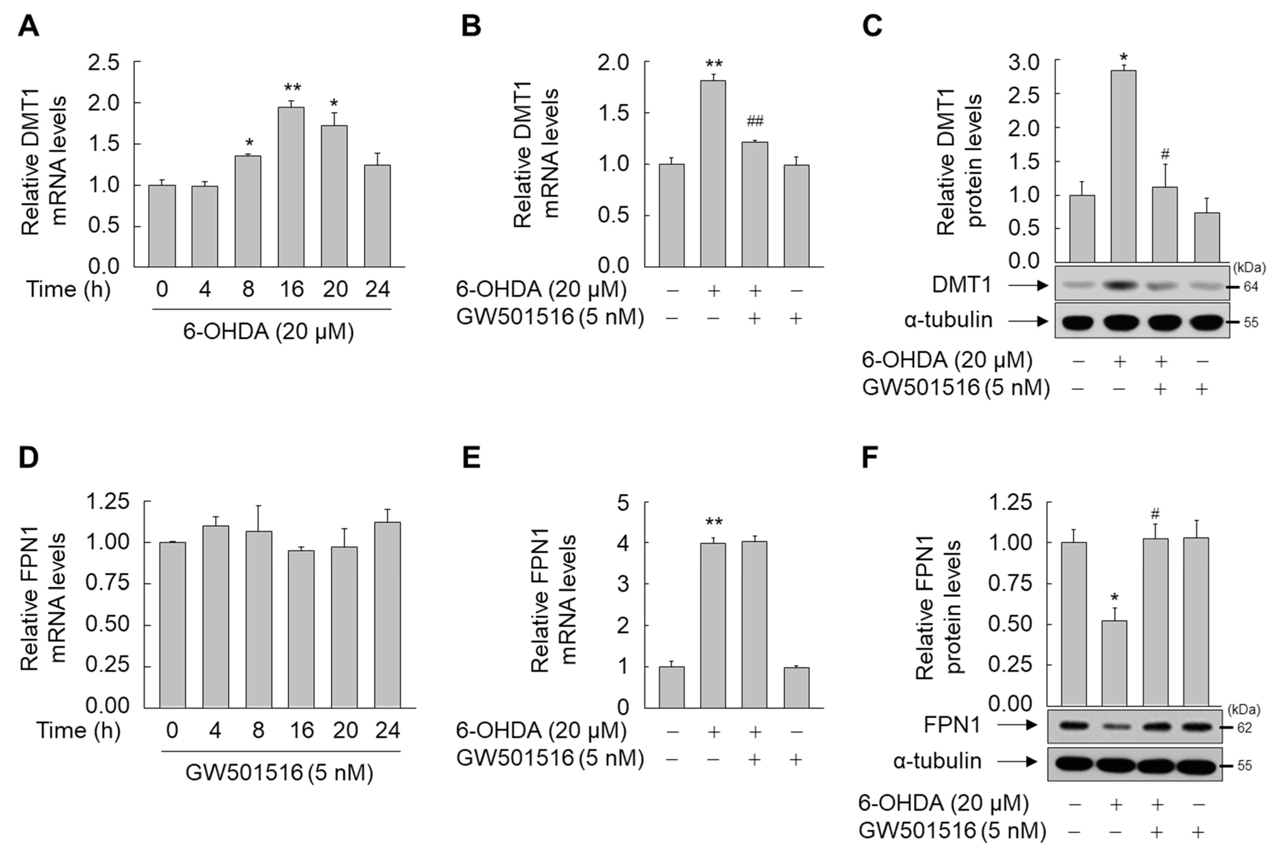 Antioxidants 11 00810 g004 Antioxidants 11 00810 g004