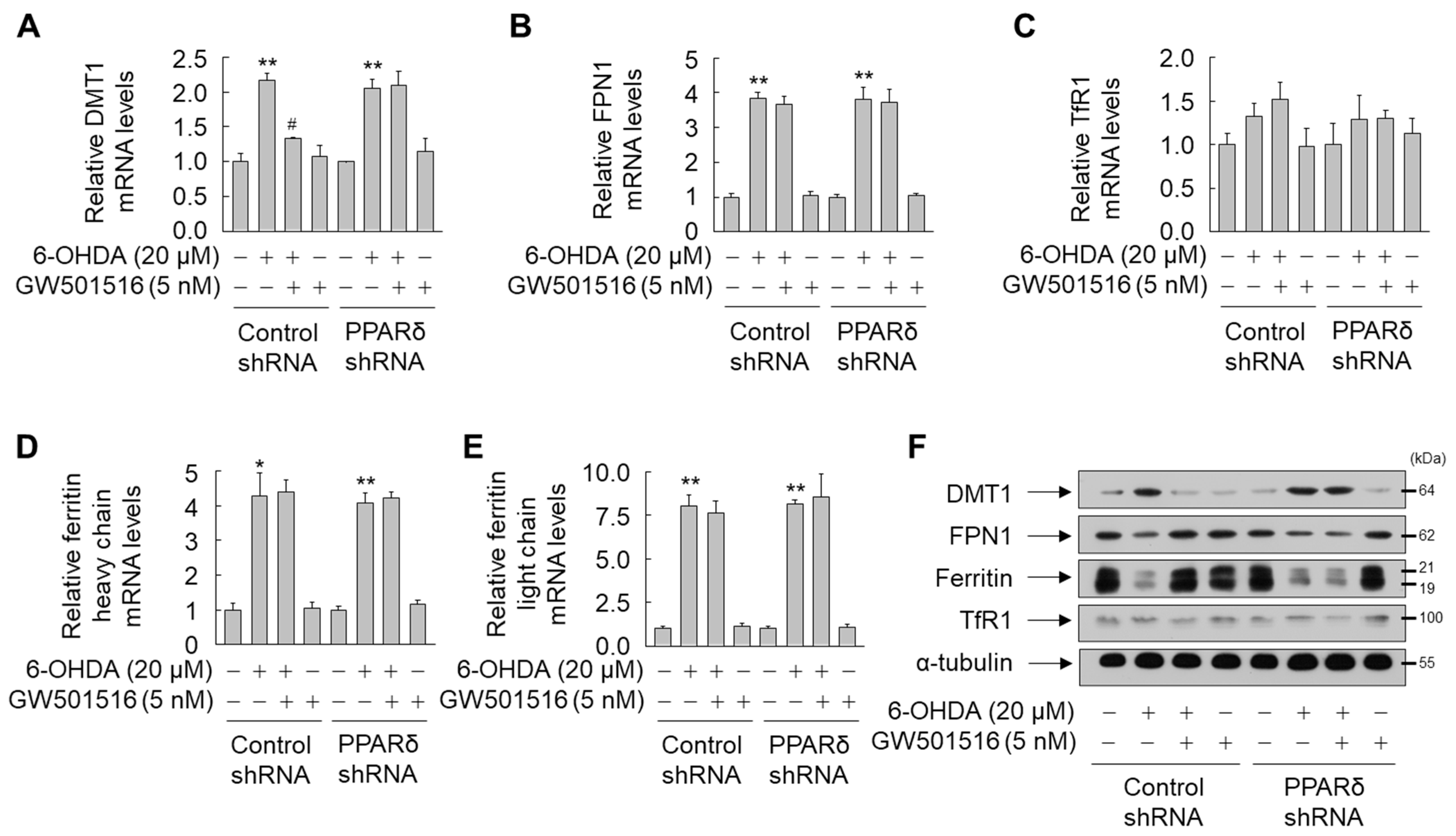Antioxidants 11 00810 g005 Antioxidants 11 00810 g005