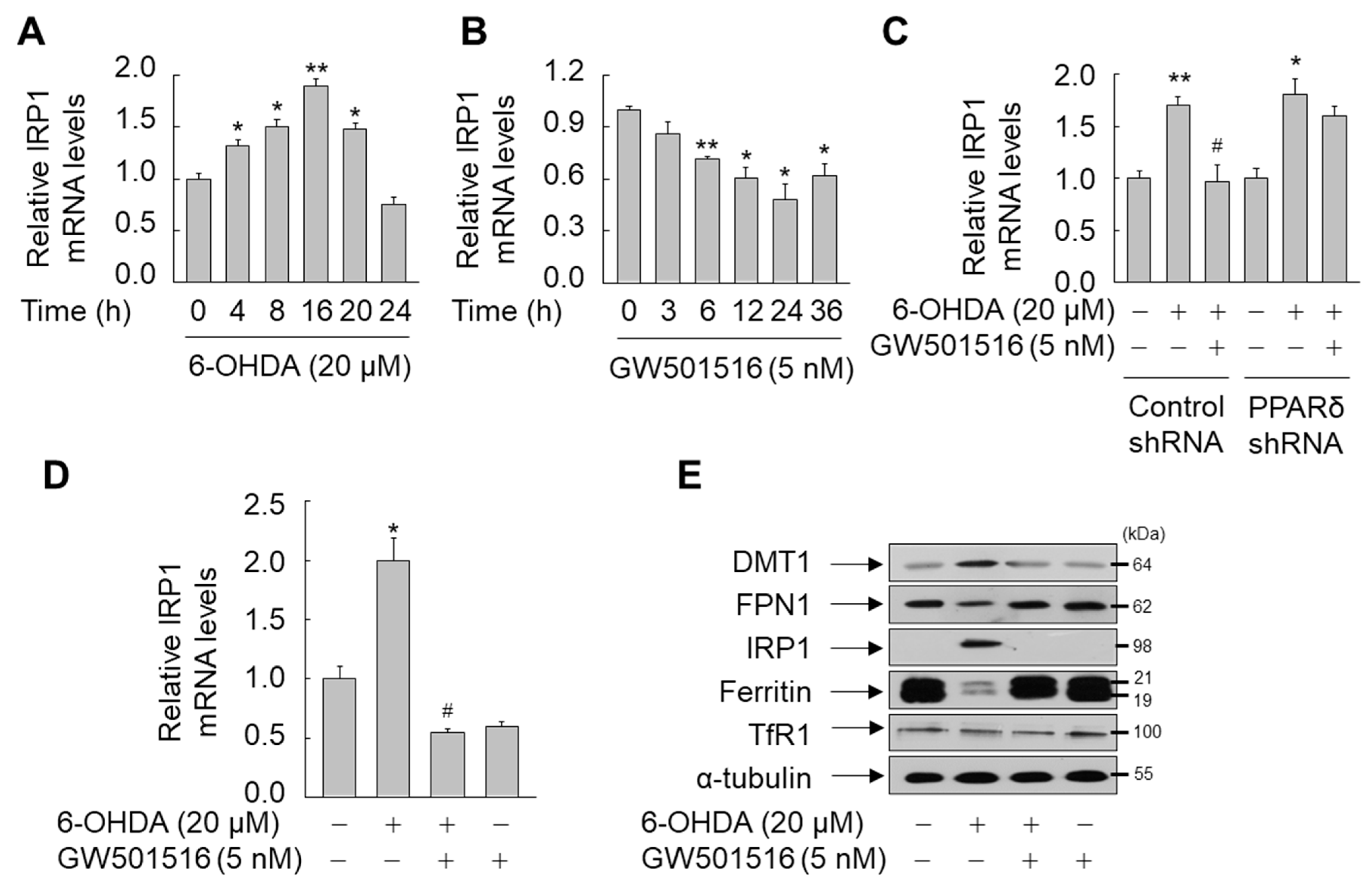 Antioxidants 11 00810 g006 Antioxidants 11 00810 g006