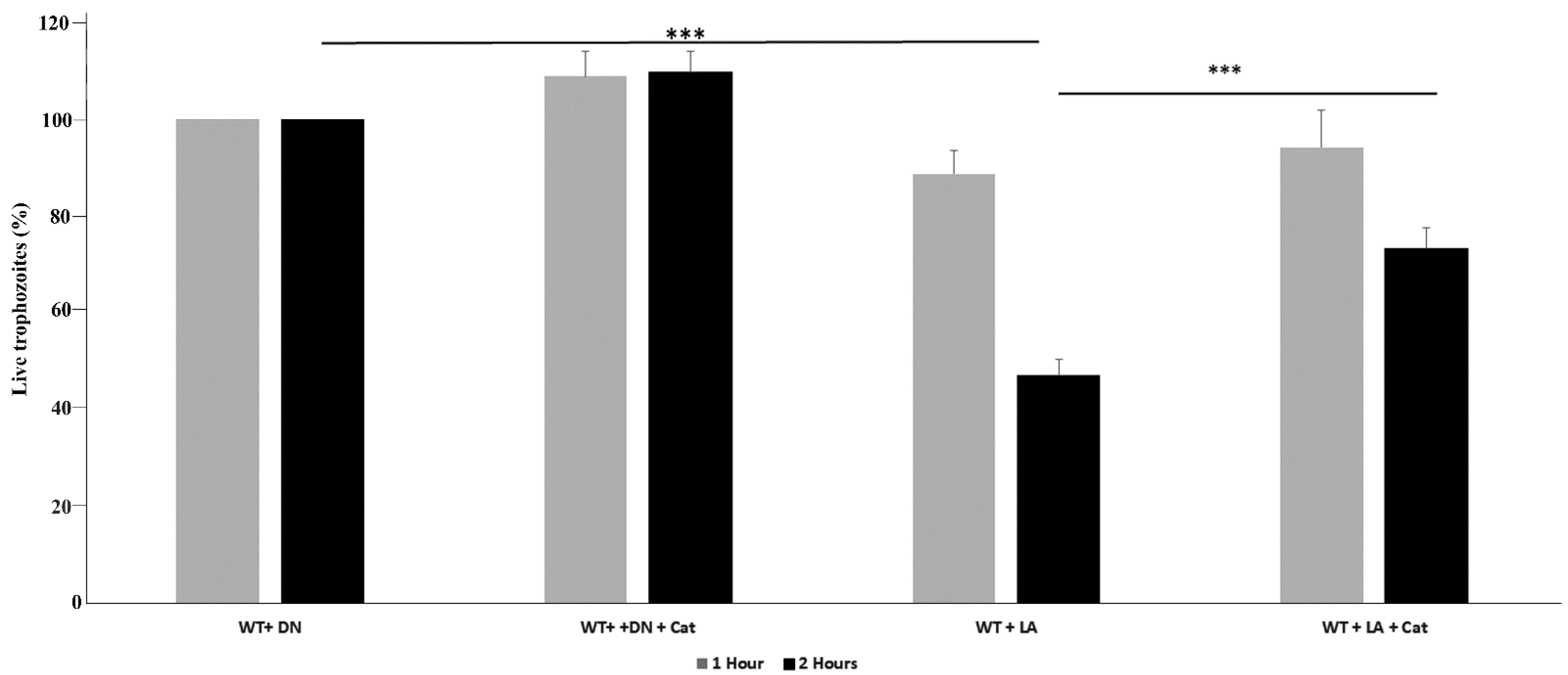 Antioxidants 11 00814 g001