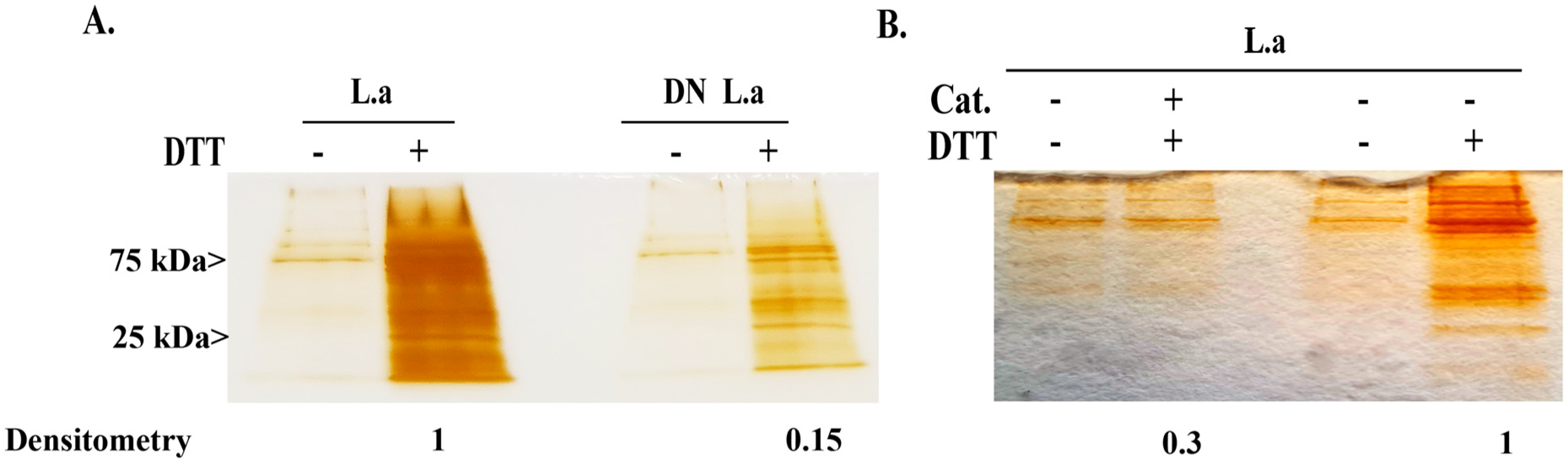 Antioxidants 11 00814 g002