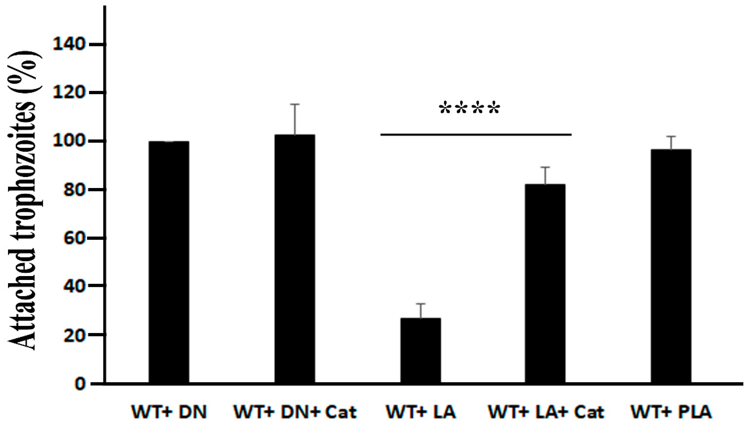 Antioxidants 11 00814 g005