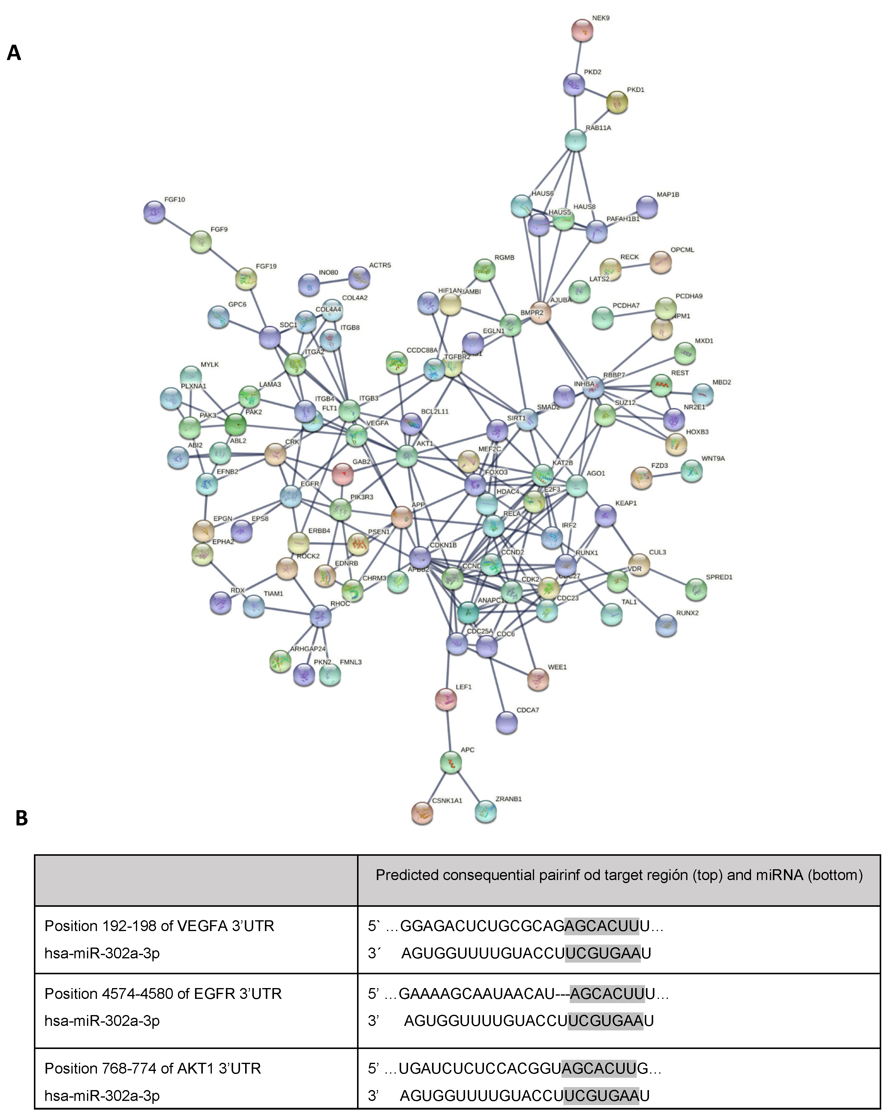 Antioxidants 11 00818 g004 550