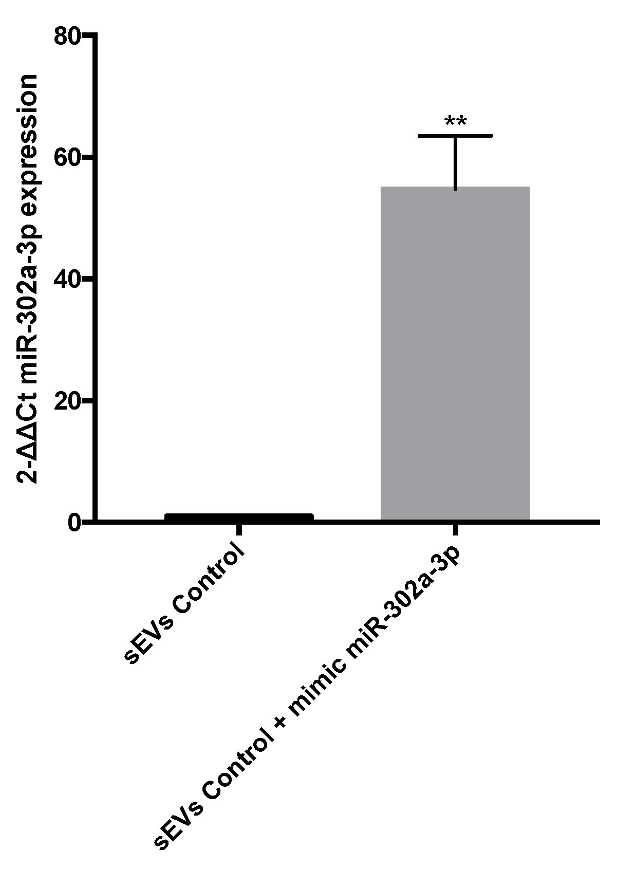 Antioxidants 11 00818 g008 550