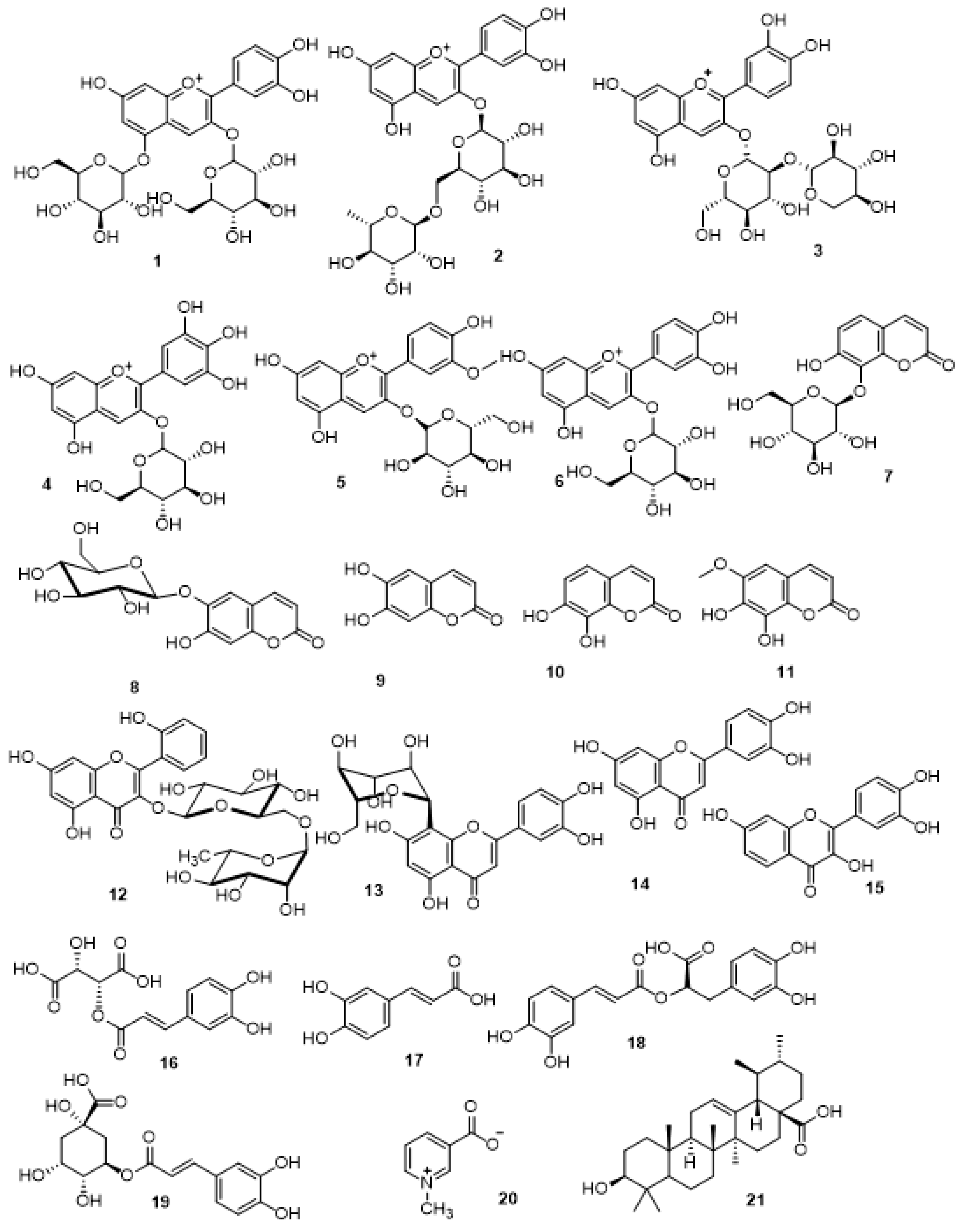 Antioxidants 11 00819 g001
