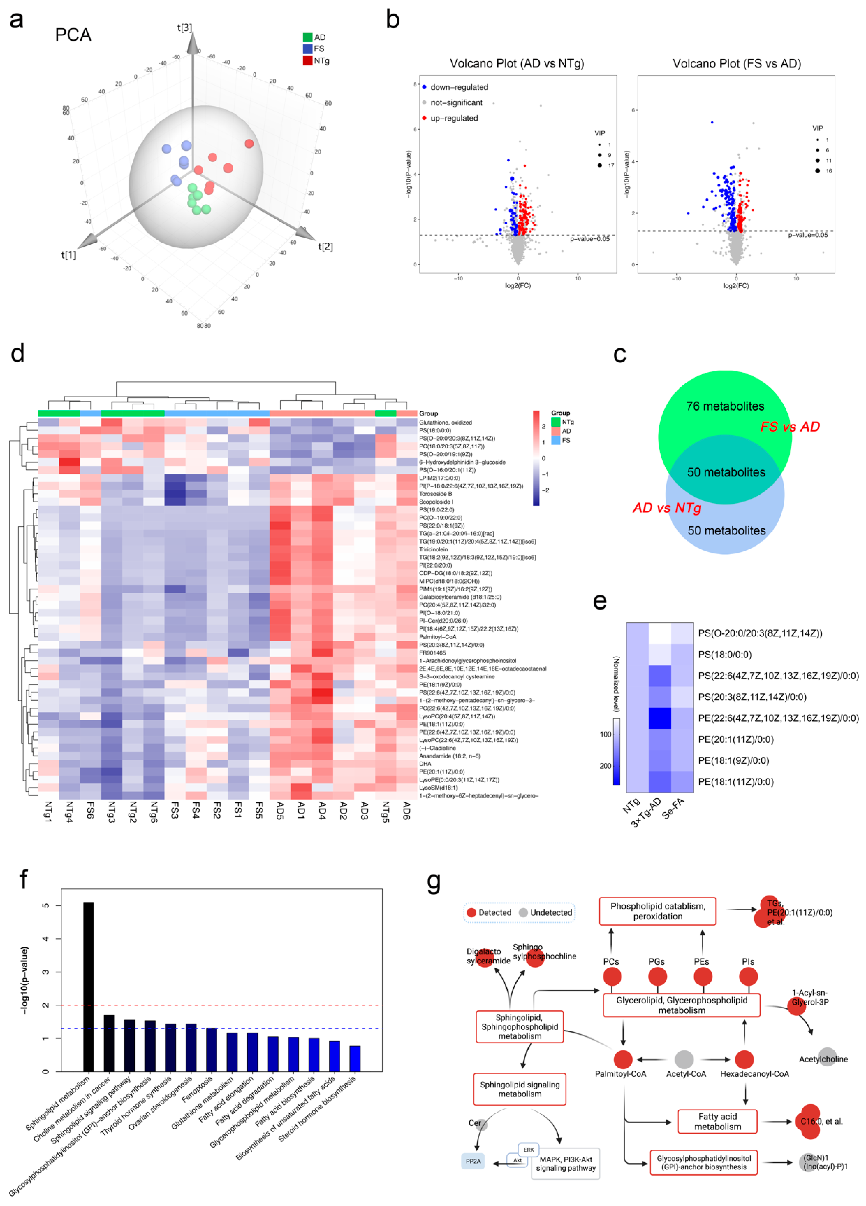 Antioxidants 11 00829 g003