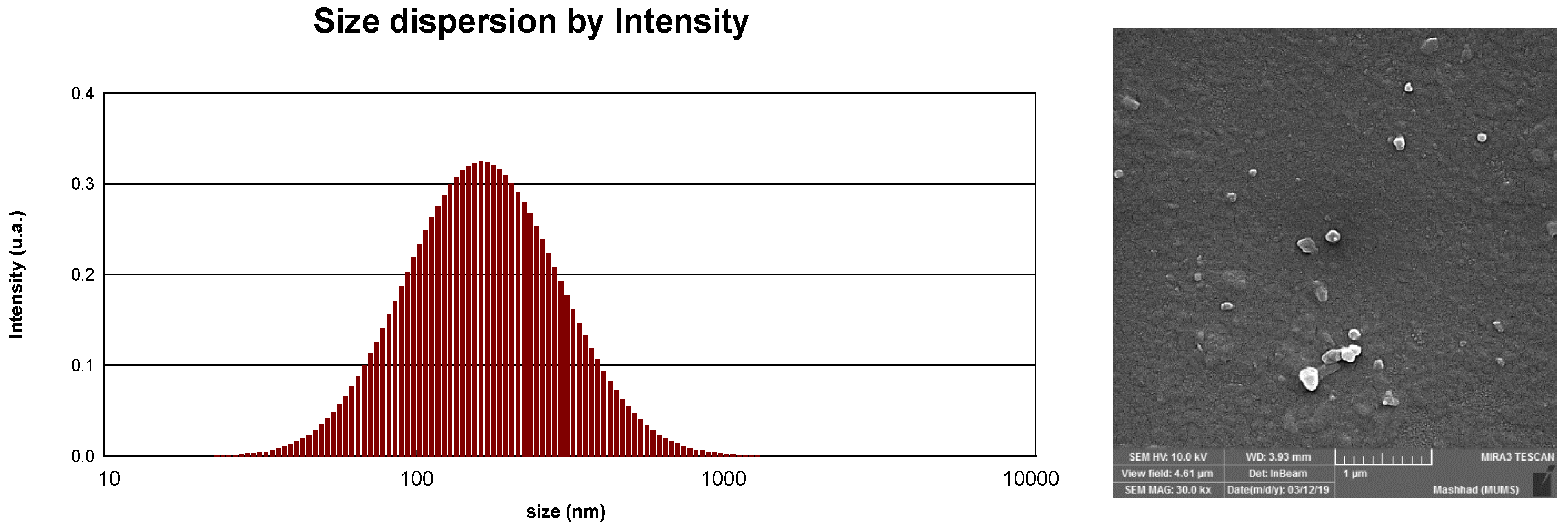 Antioxidants 11 00831 g001 550