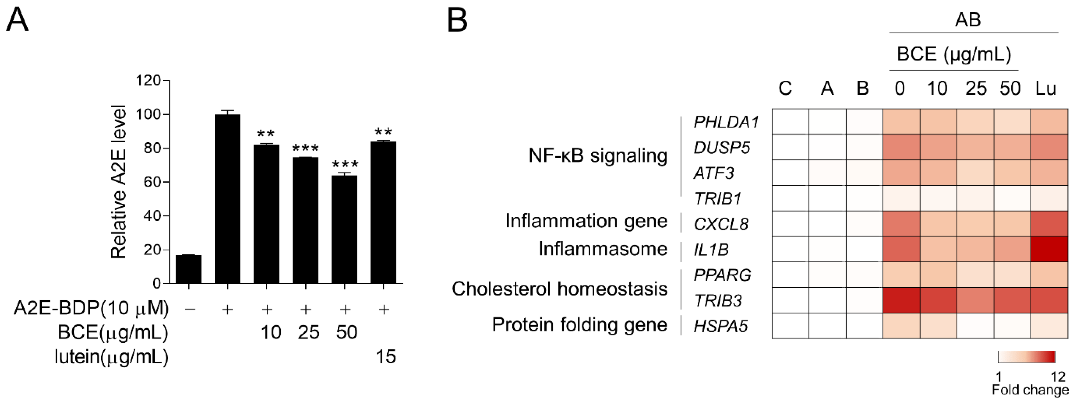 Antioxidants 11 00832 g003 550