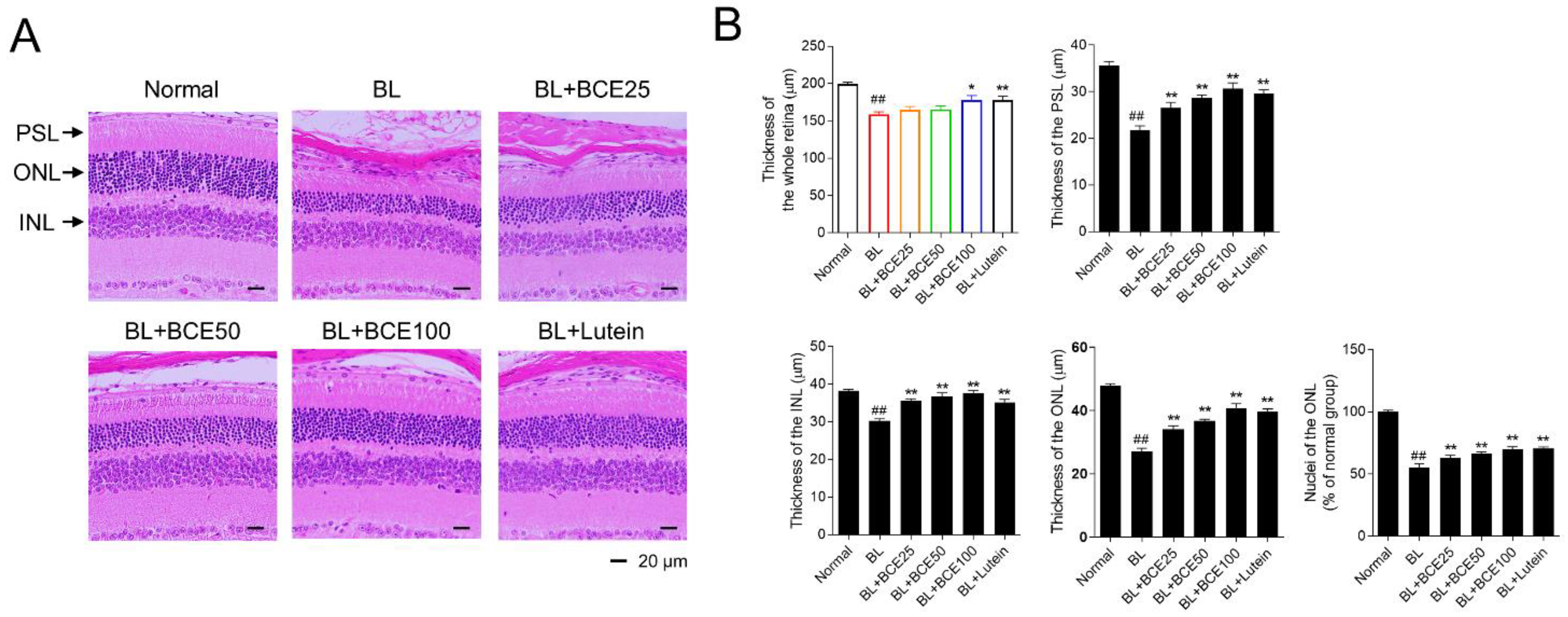 Antioxidants 11 00832 g004 550