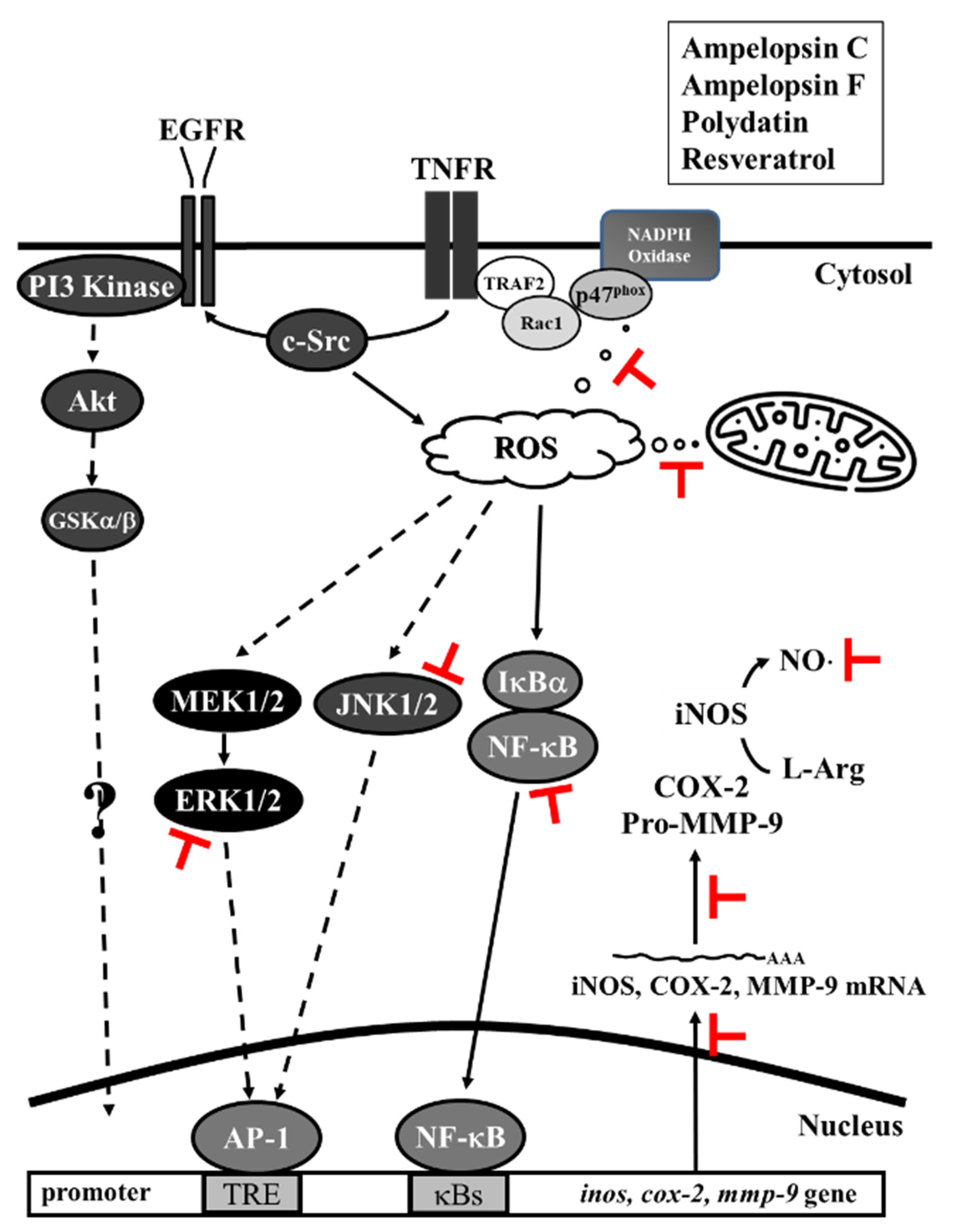 Antioxidants 11 00835 g009