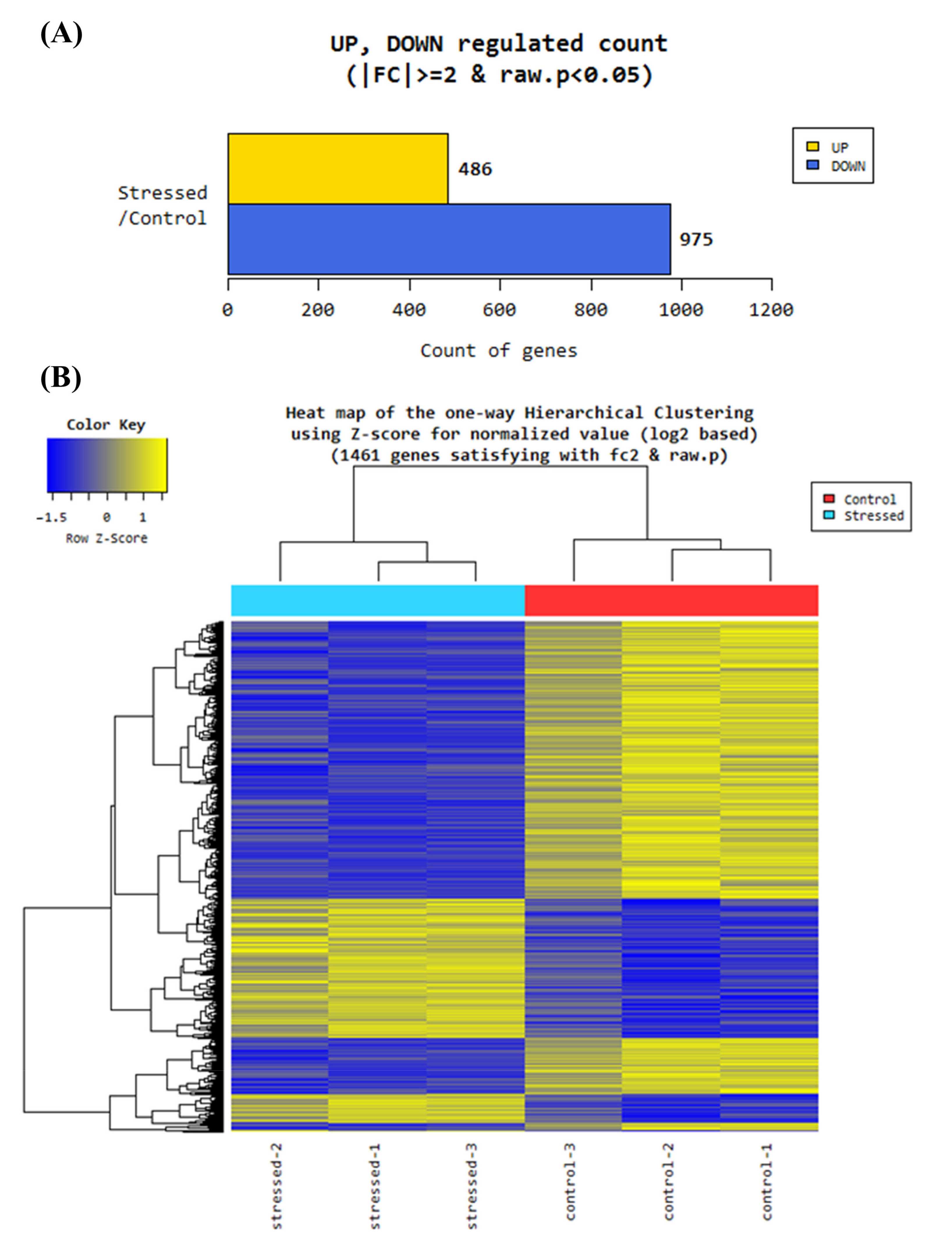 Antioxidants 11 00836 g003 Antioxidants 11 00836 g003