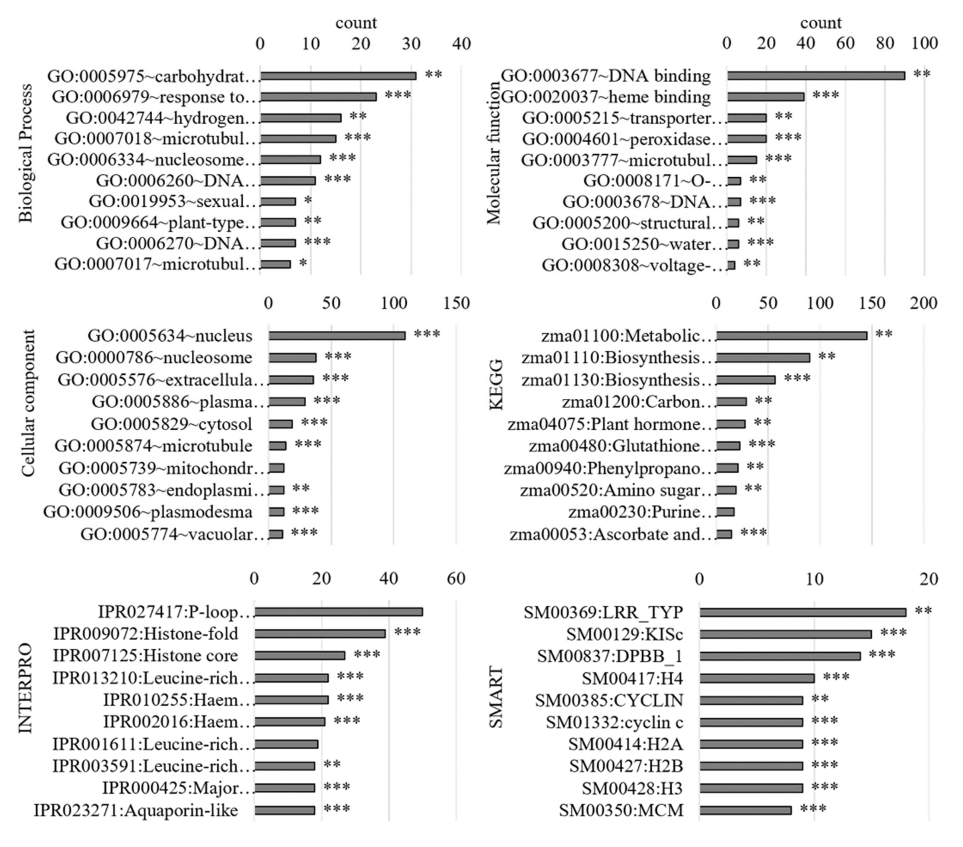 Antioxidants 11 00836 g004 Antioxidants 11 00836 g004