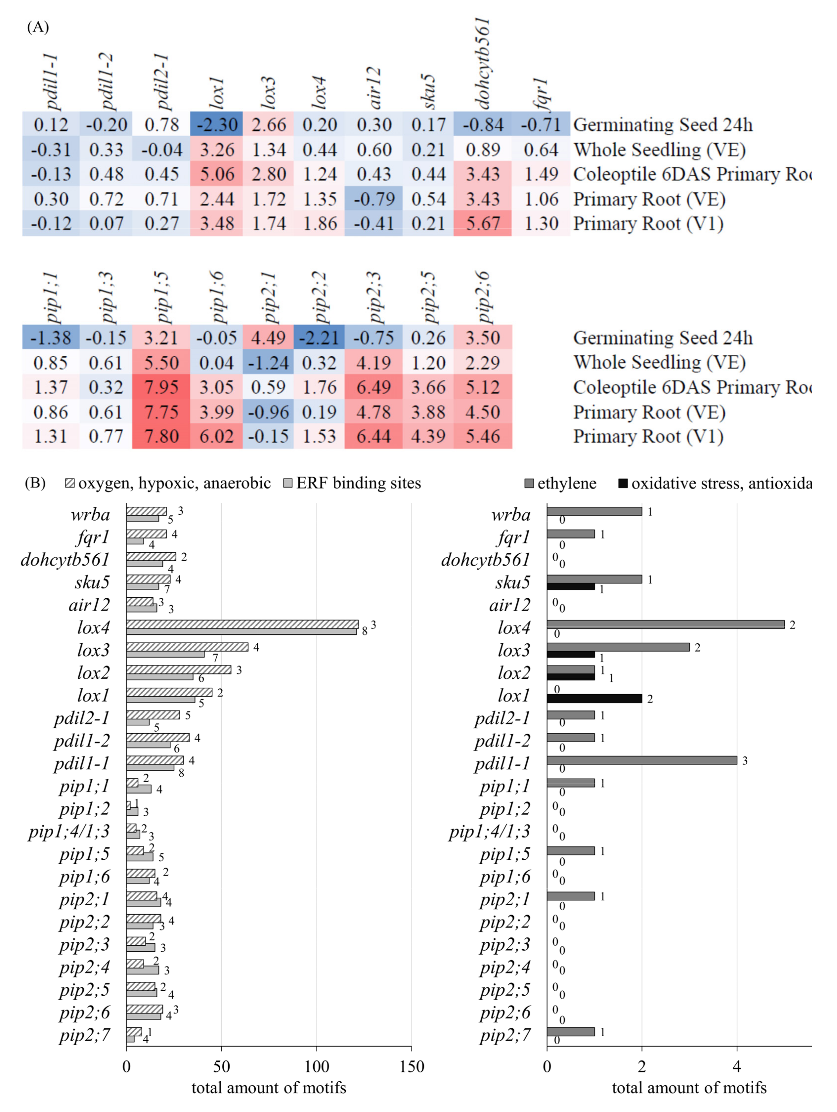 Antioxidants 11 00836 g005 Antioxidants 11 00836 g005