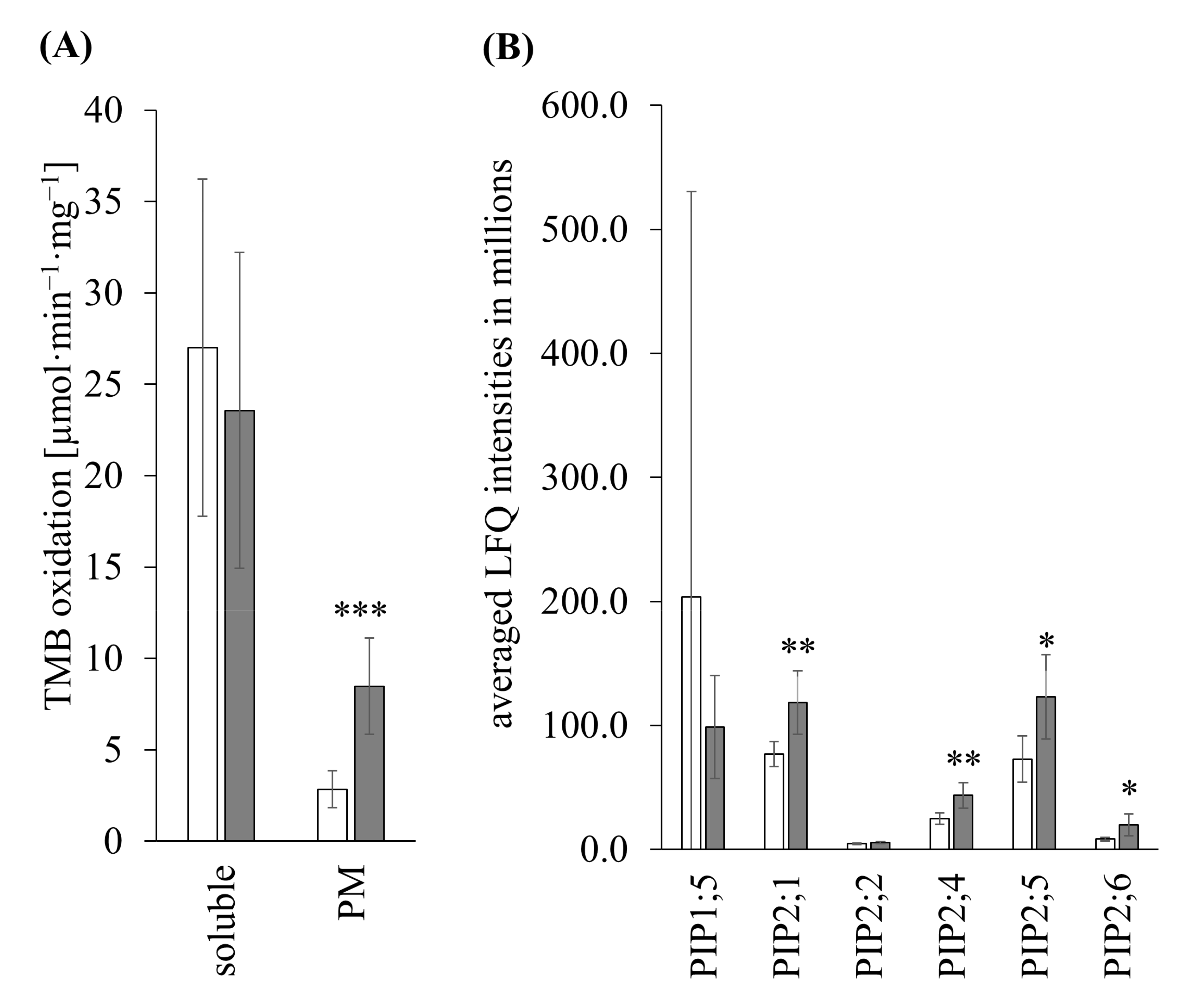 Antioxidants 11 00836 g009 Antioxidants 11 00836 g009