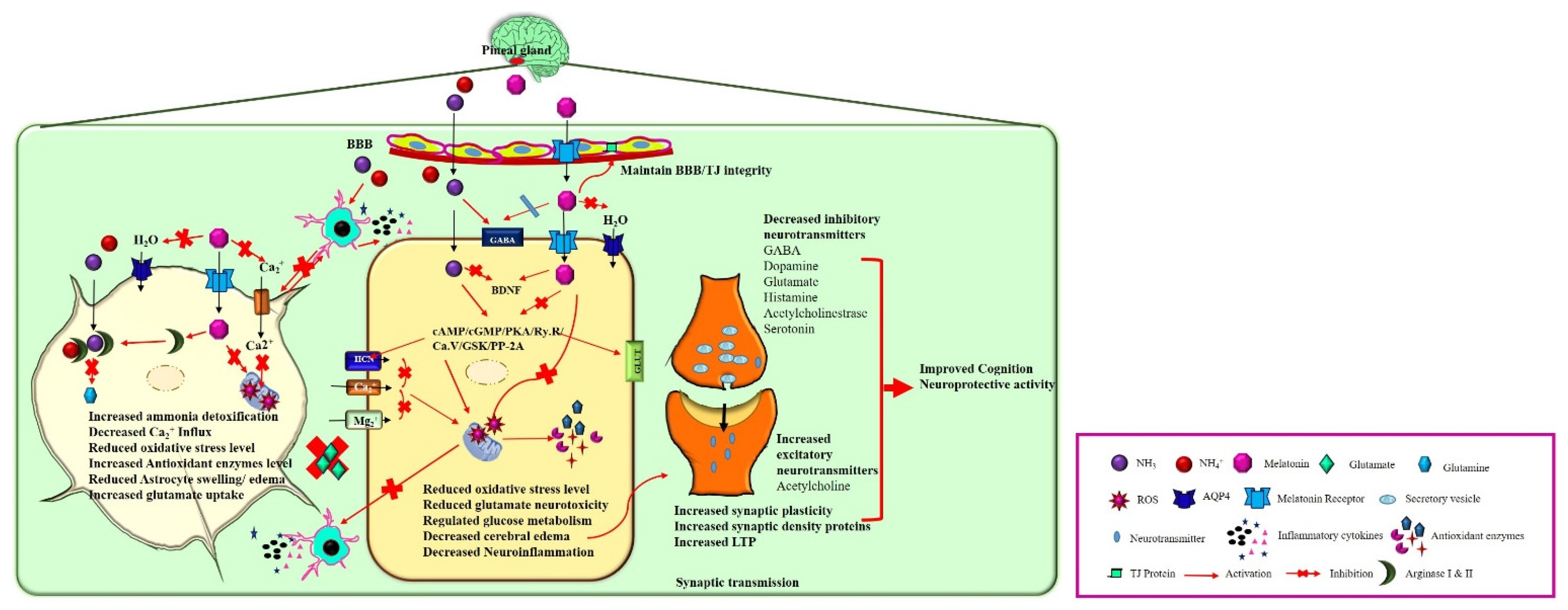 Antioxidants 11 00837 g002 Antioxidants 11 00837 g002
