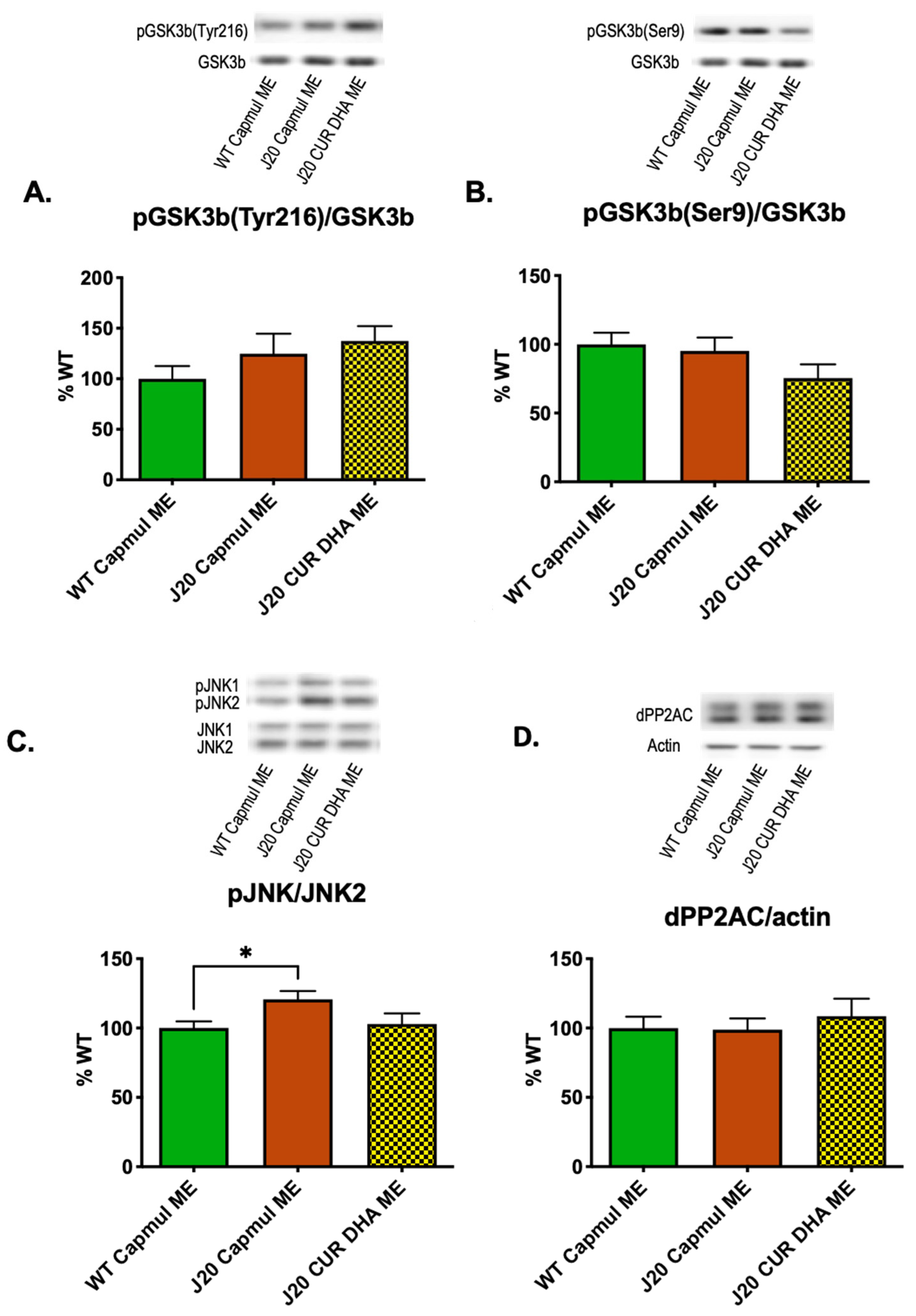Antioxidants Free Full Text Intranasal Administration Of Nanovectorized Docosahexaenoic Acid Dha Improves Cognitive Function In Two Complementary Mouse Models Of Alzheimer Rsquo S Disease Html