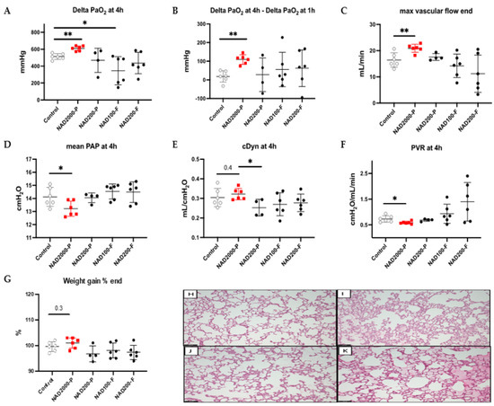 Ex Vivo Lung Perfusion with β-Nicotinamide Adenine Dinucleotide
