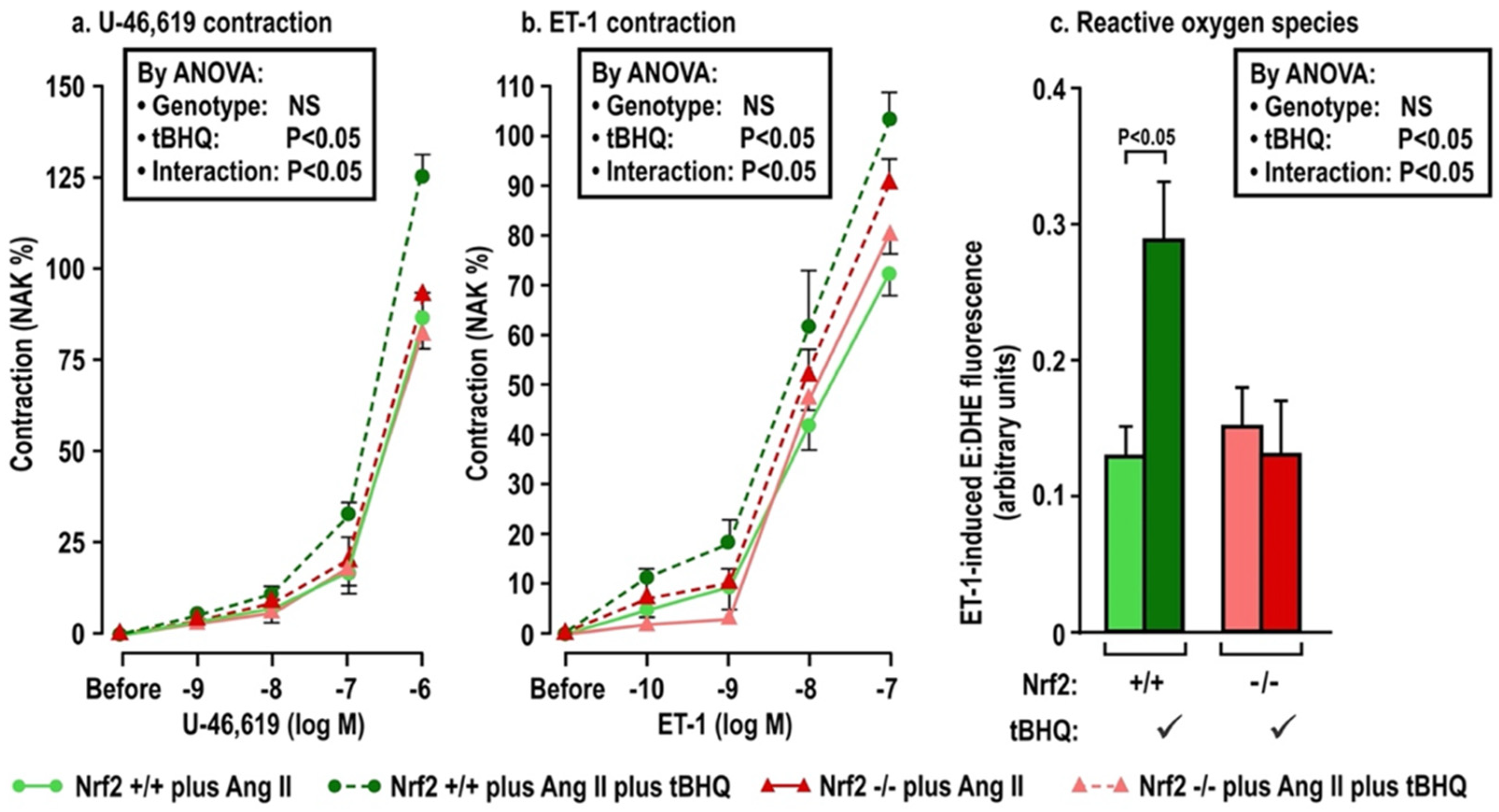 Antioxidants 11 00845 g003