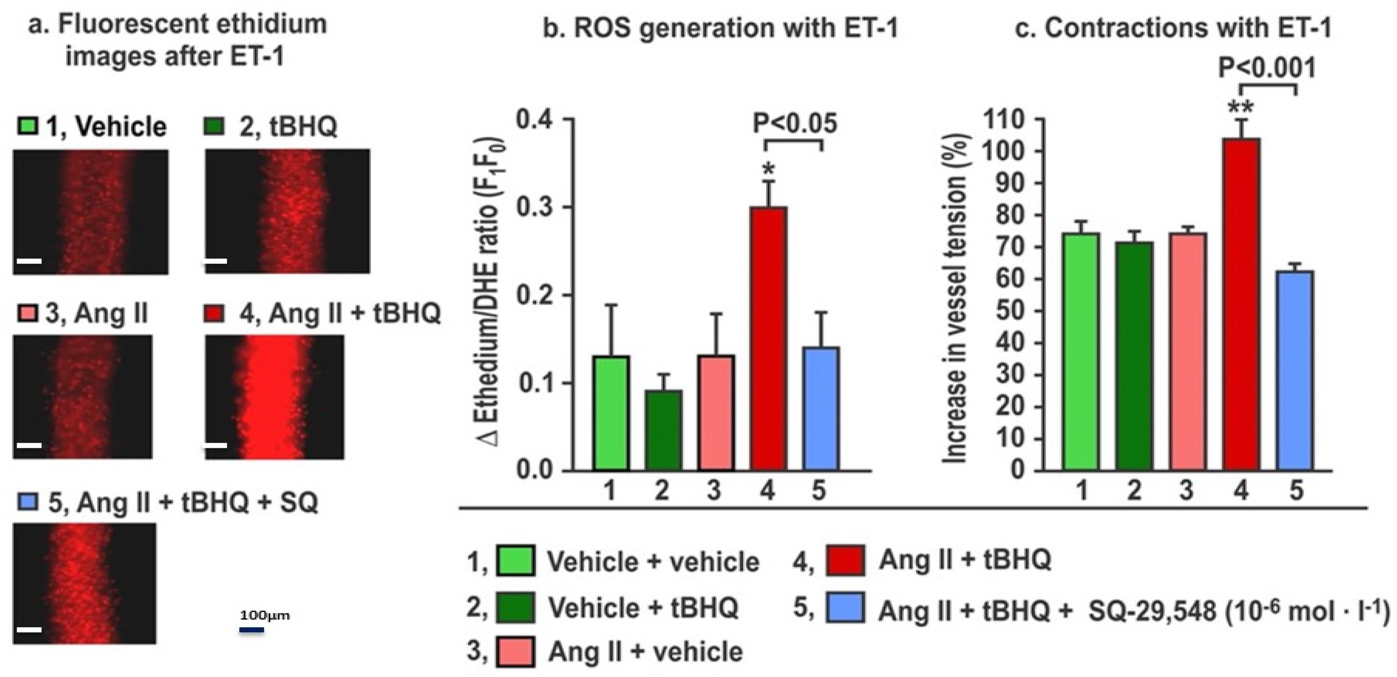 Antioxidants 11 00845 g005