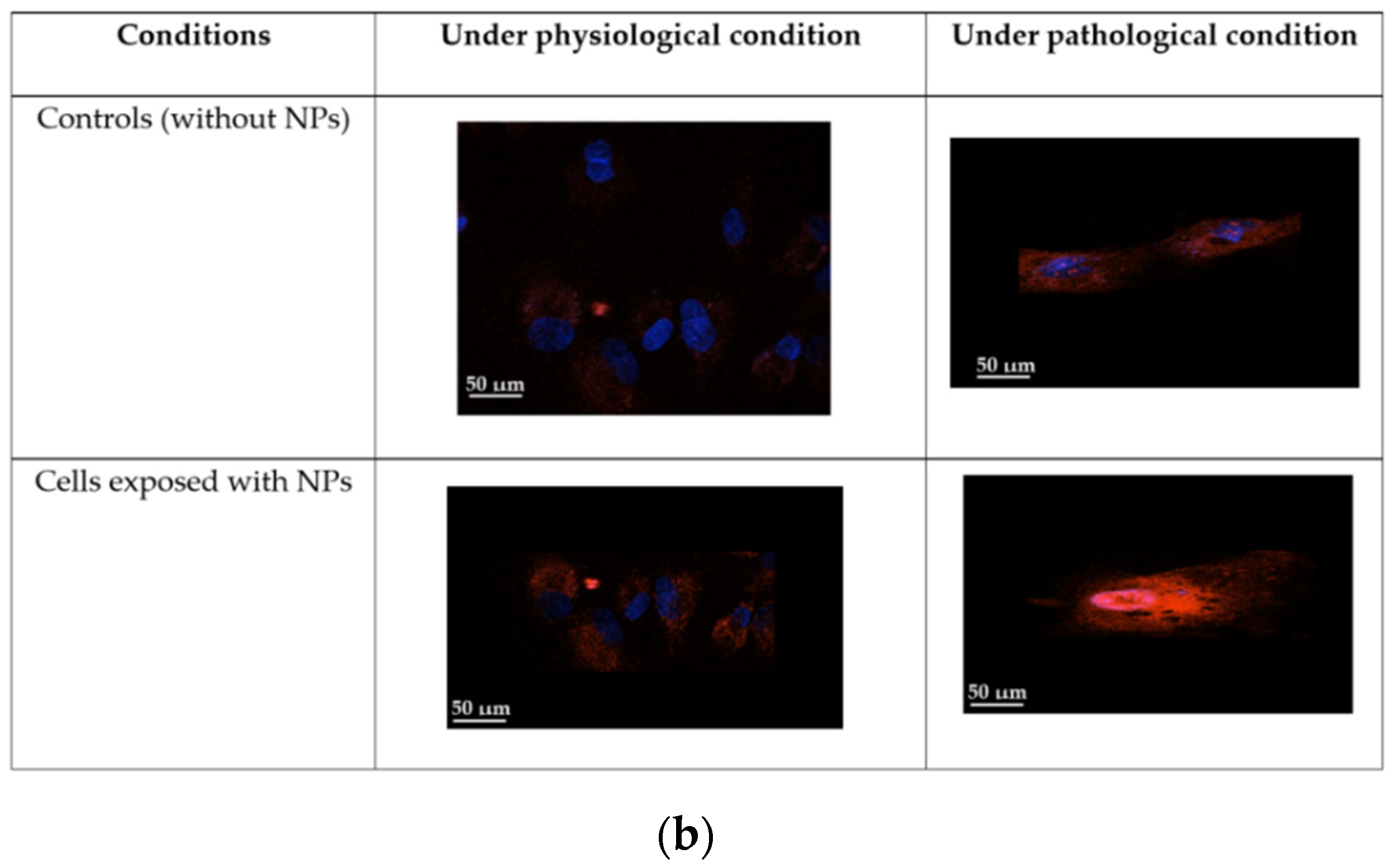 Antioxidants 11 00847 g003b 550