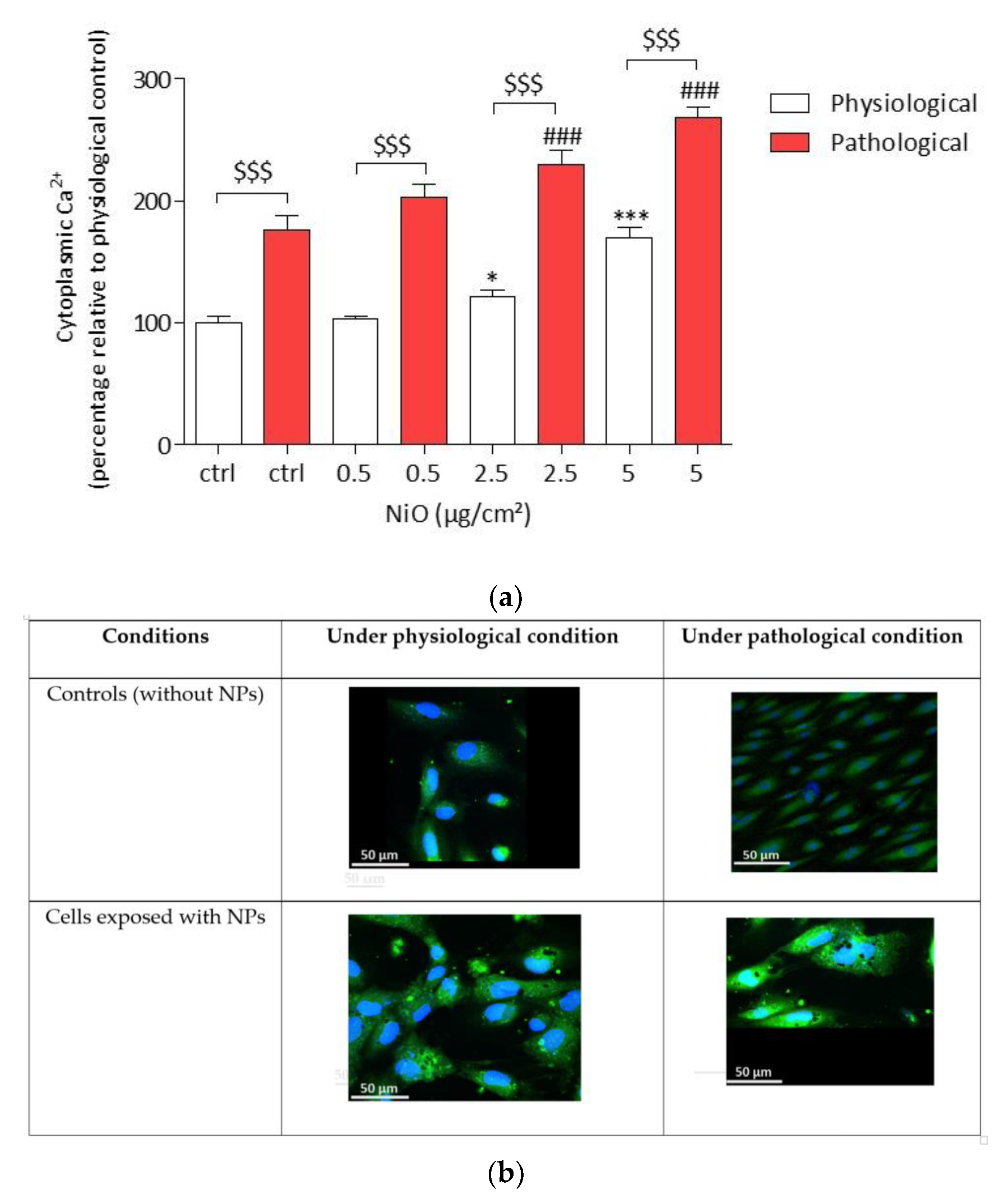 Antioxidants 11 00847 g006 550