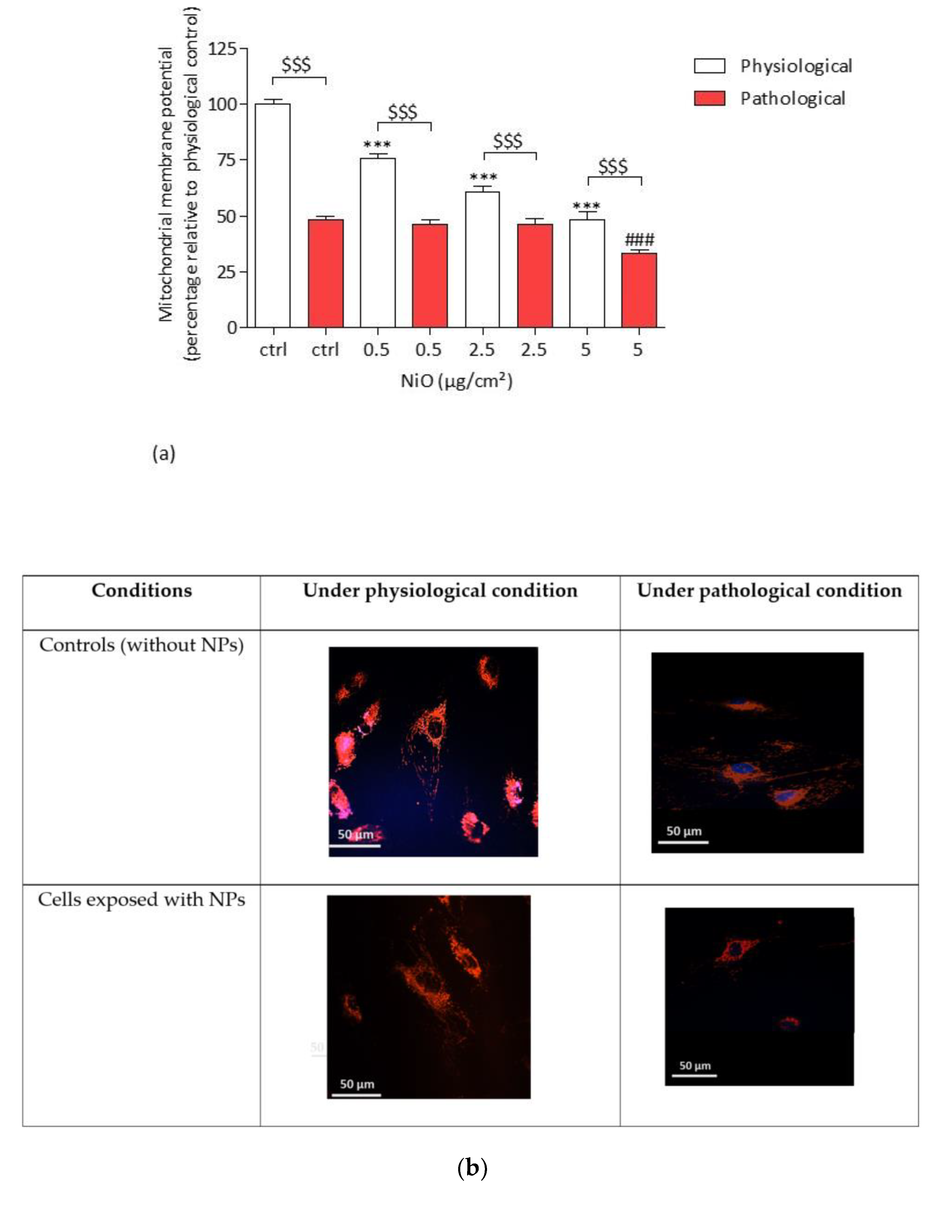 Antioxidants 11 00847 g007a 550