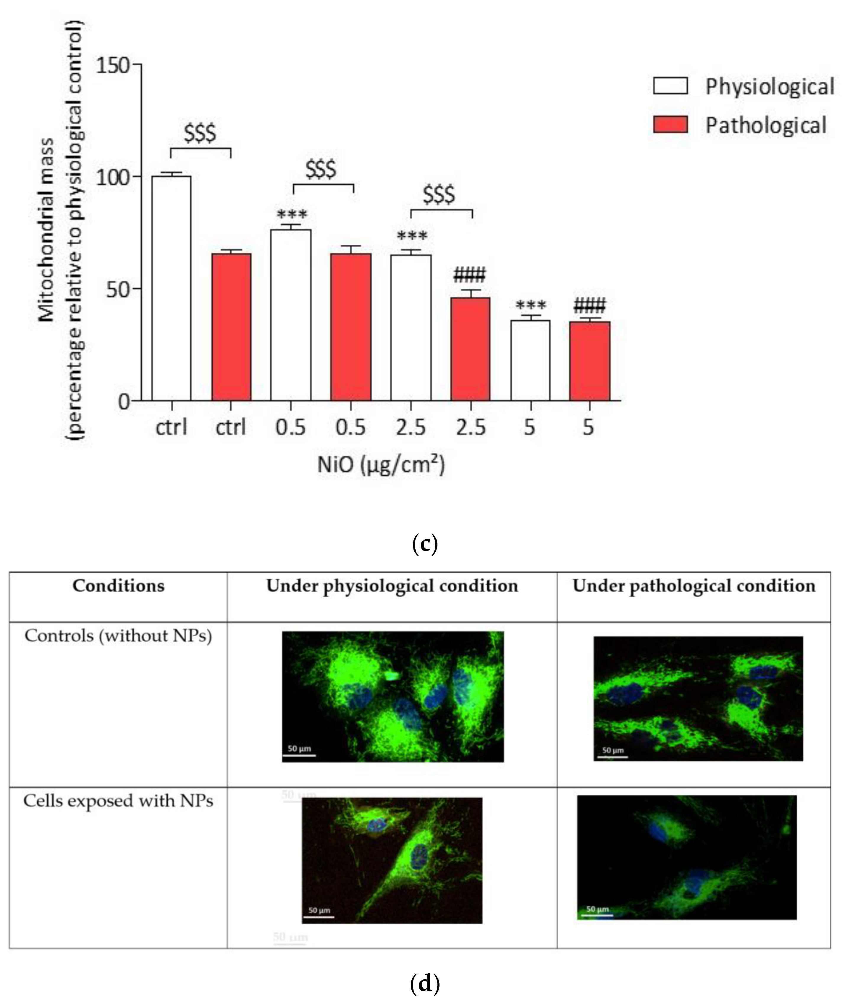 Antioxidants 11 00847 g007b 550