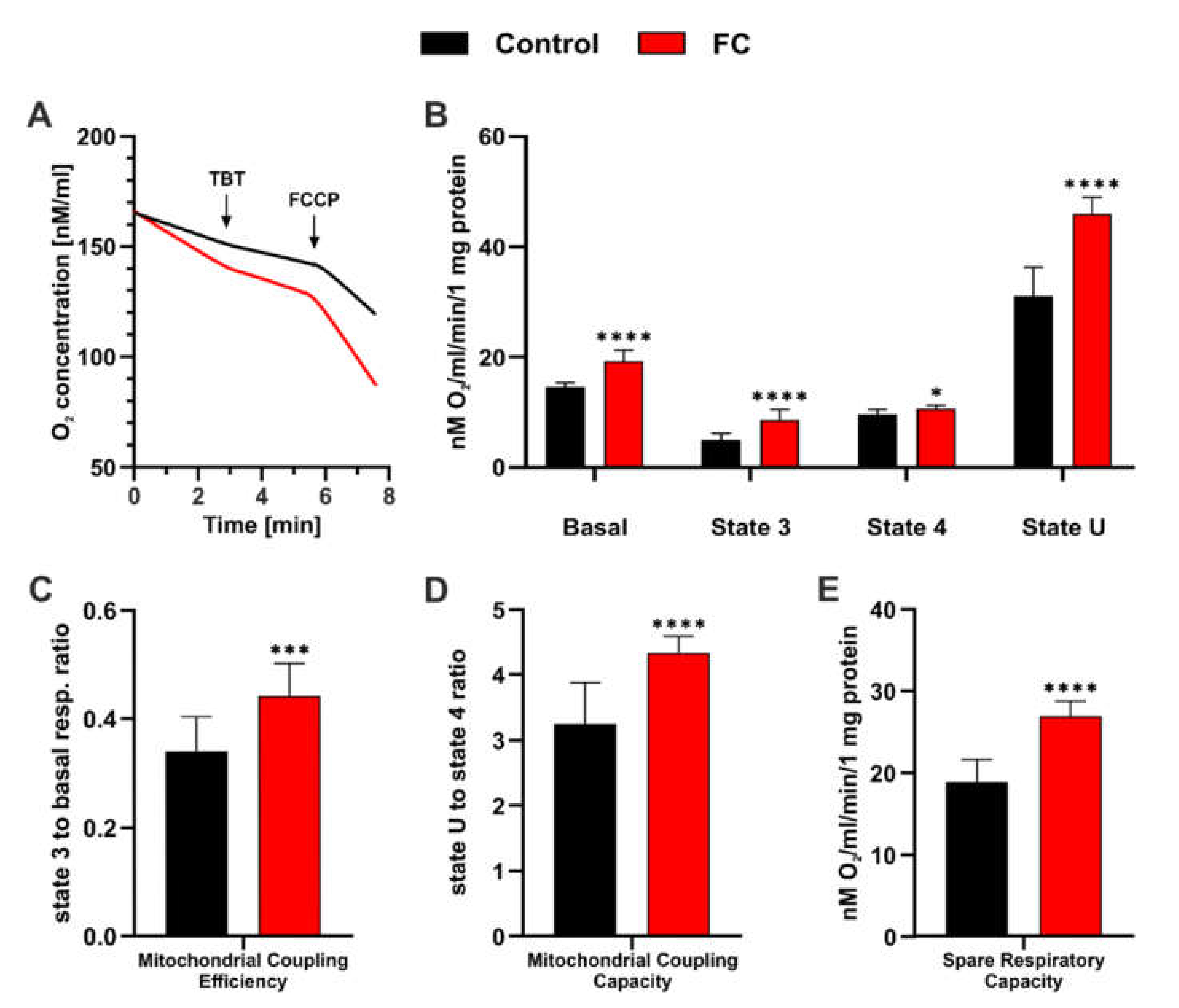 Antioxidants 11 00850 g004 Antioxidants 11 00850 g004