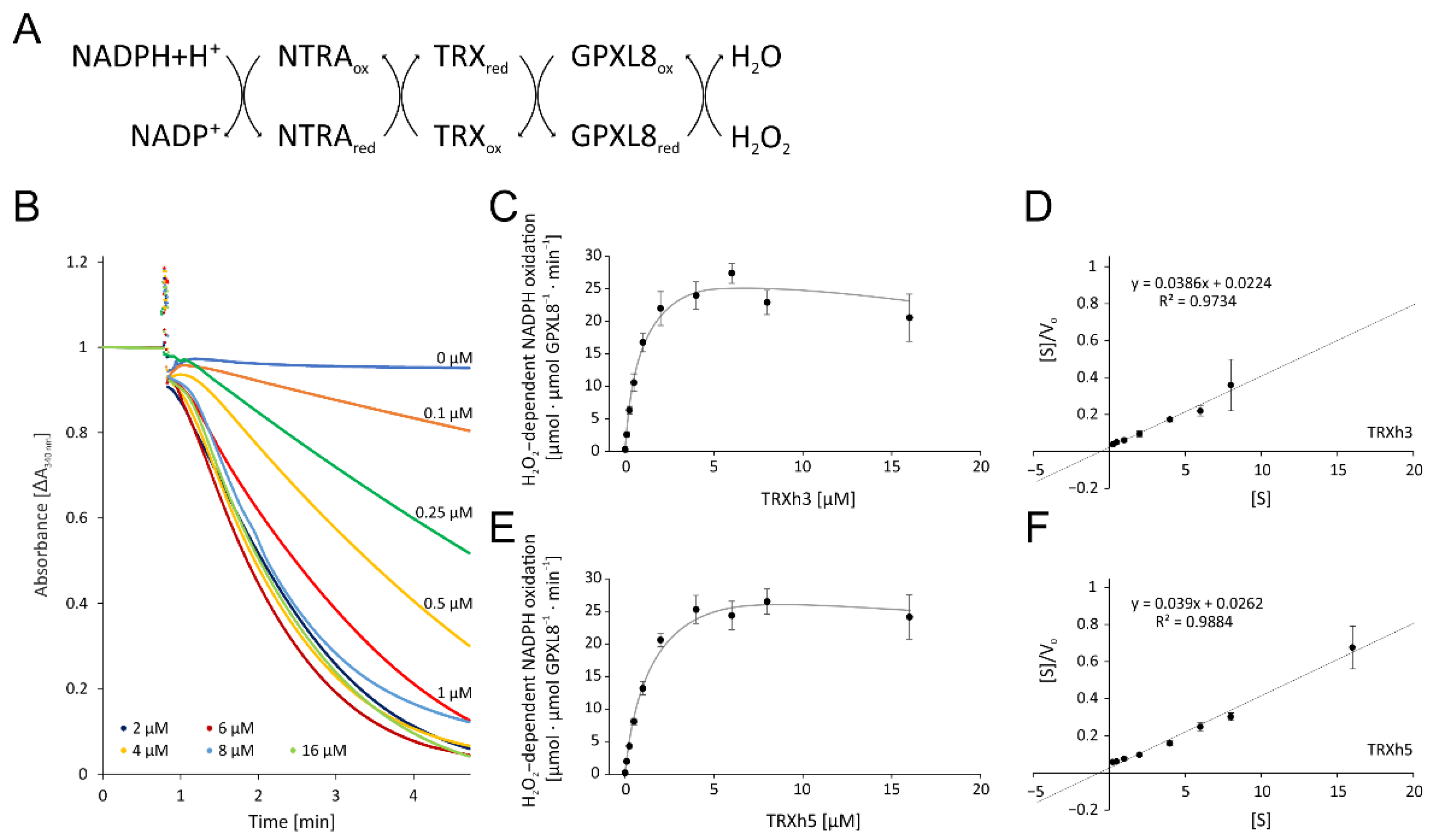 Antioxidants 11 00855 g005 550