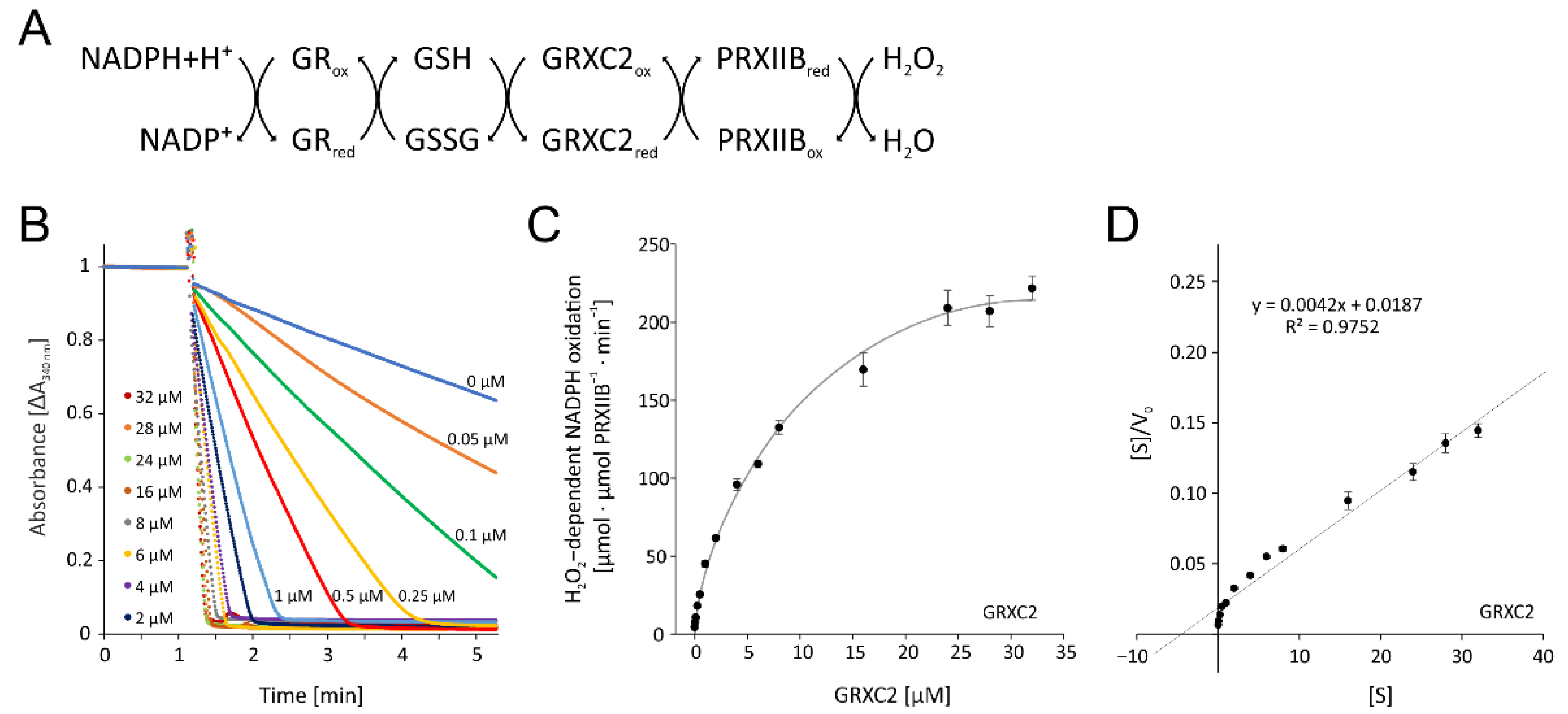 Antioxidants 11 00855 g008 550
