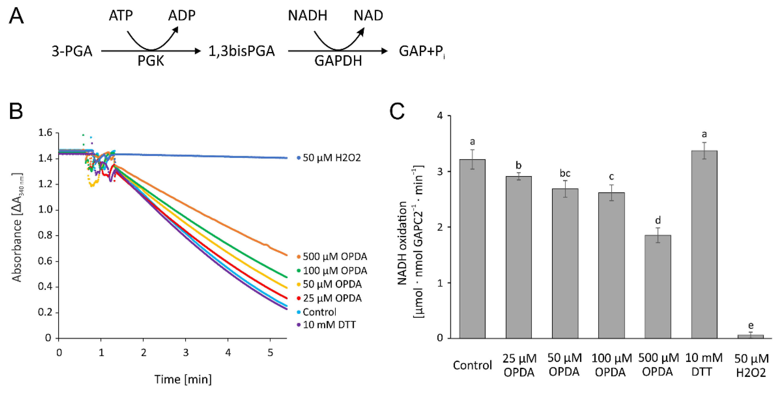 Antioxidants 11 00855 g011 550
