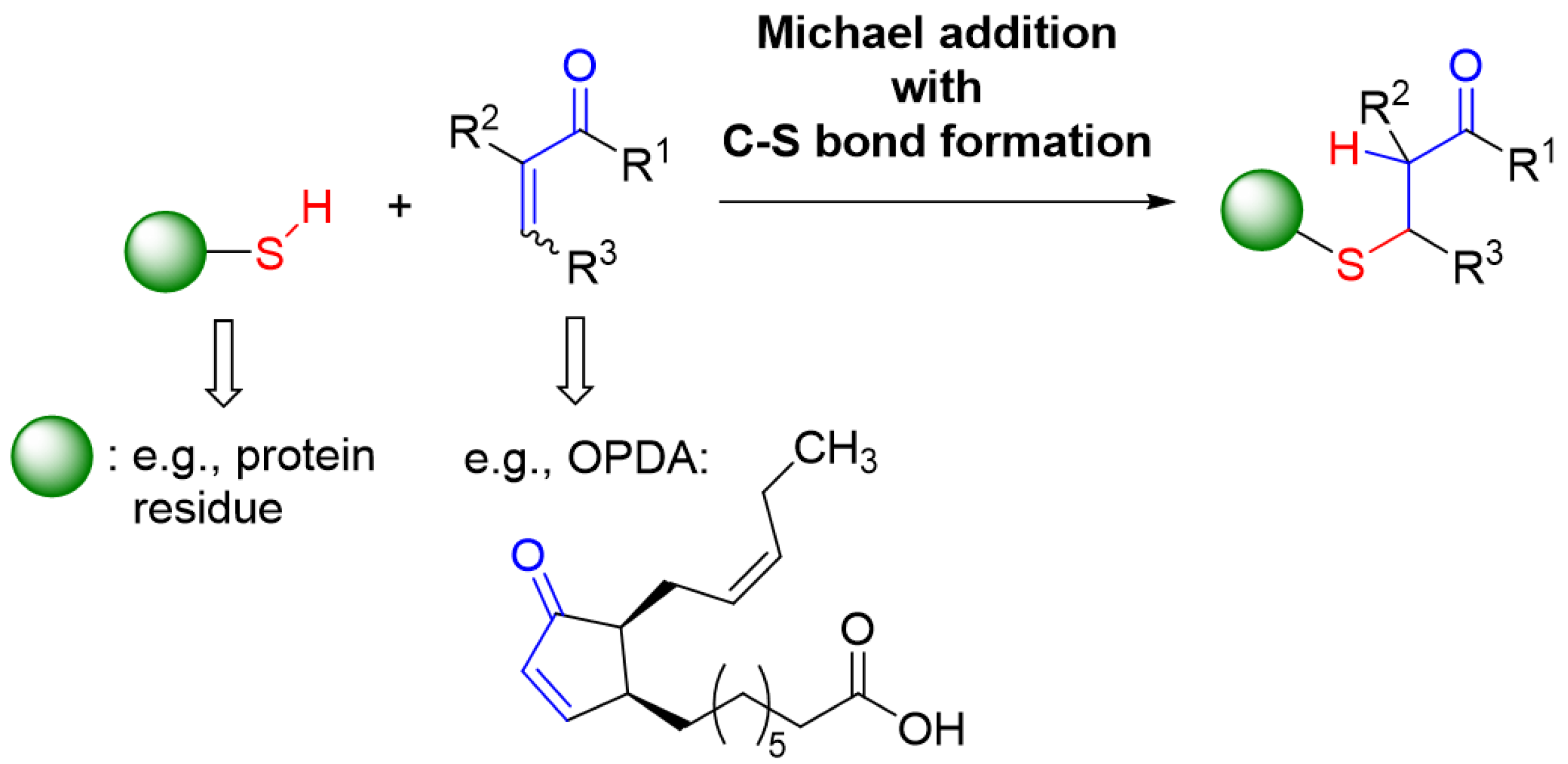 Antioxidants 11 00855 g013 550
