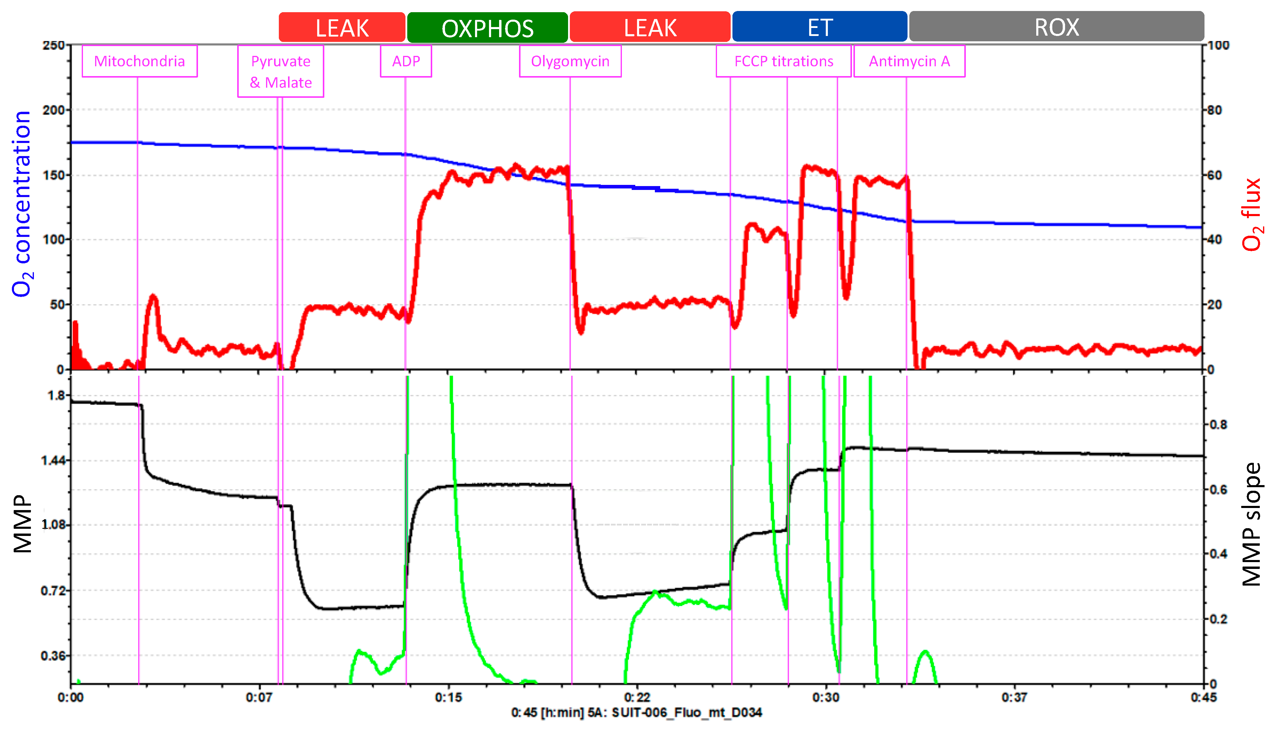 Antioxidants 11 00864 g004 Antioxidants 11 00864 g004