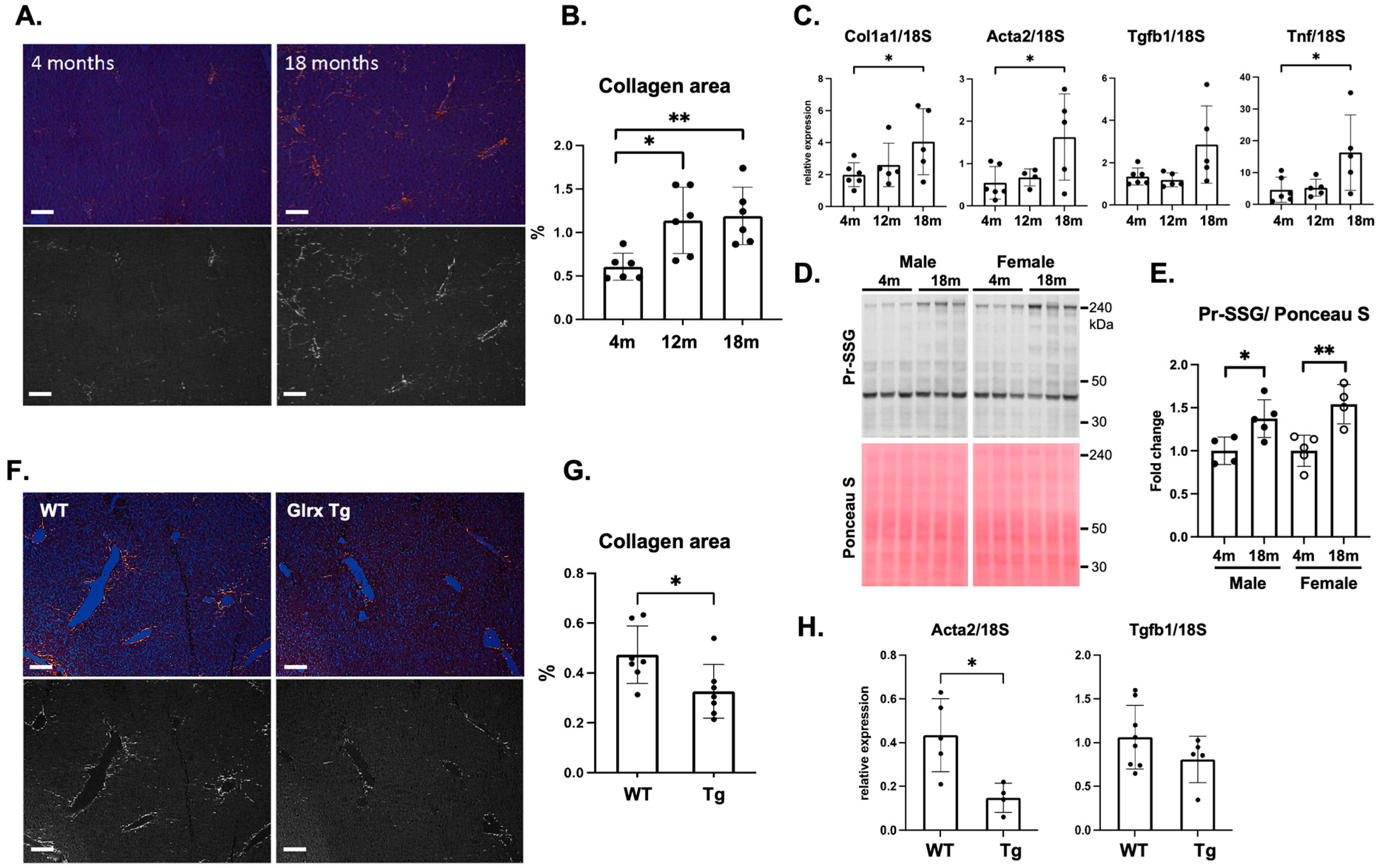 Antioxidants 11 00867 g001 Antioxidants 11 00867 g001