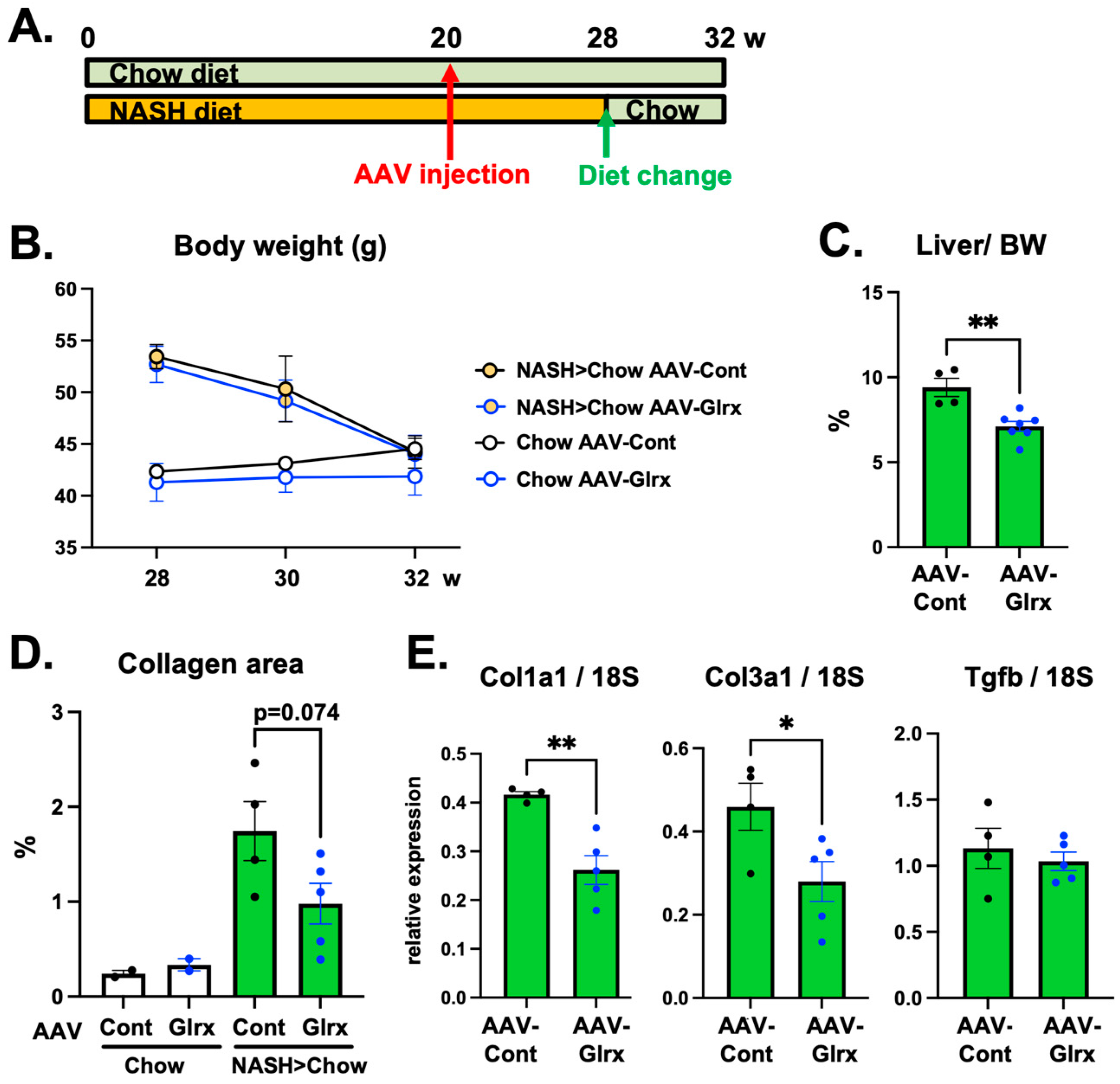 Antioxidants 11 00867 g006 Antioxidants 11 00867 g006