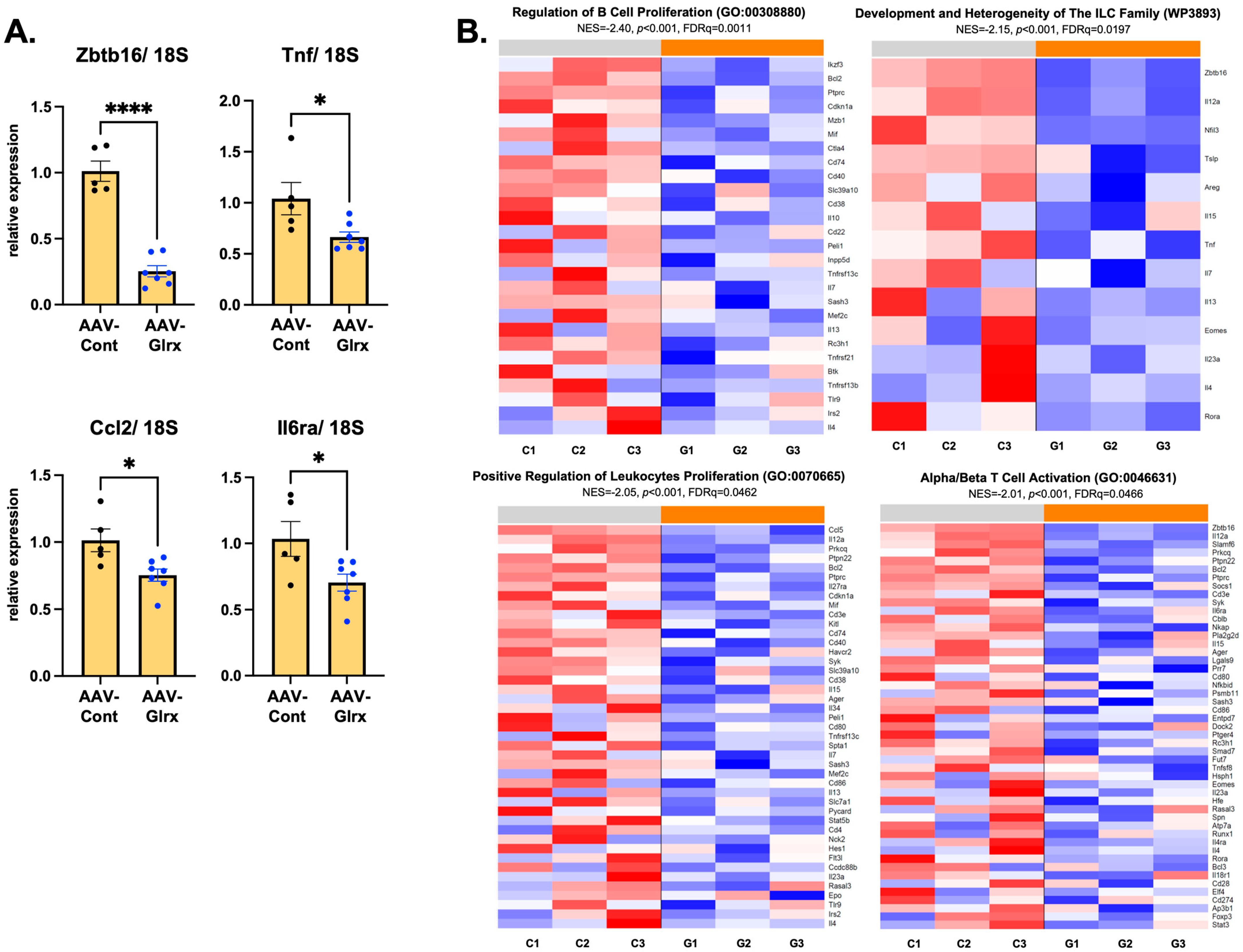 Antioxidants 11 00867 g007 Antioxidants 11 00867 g007