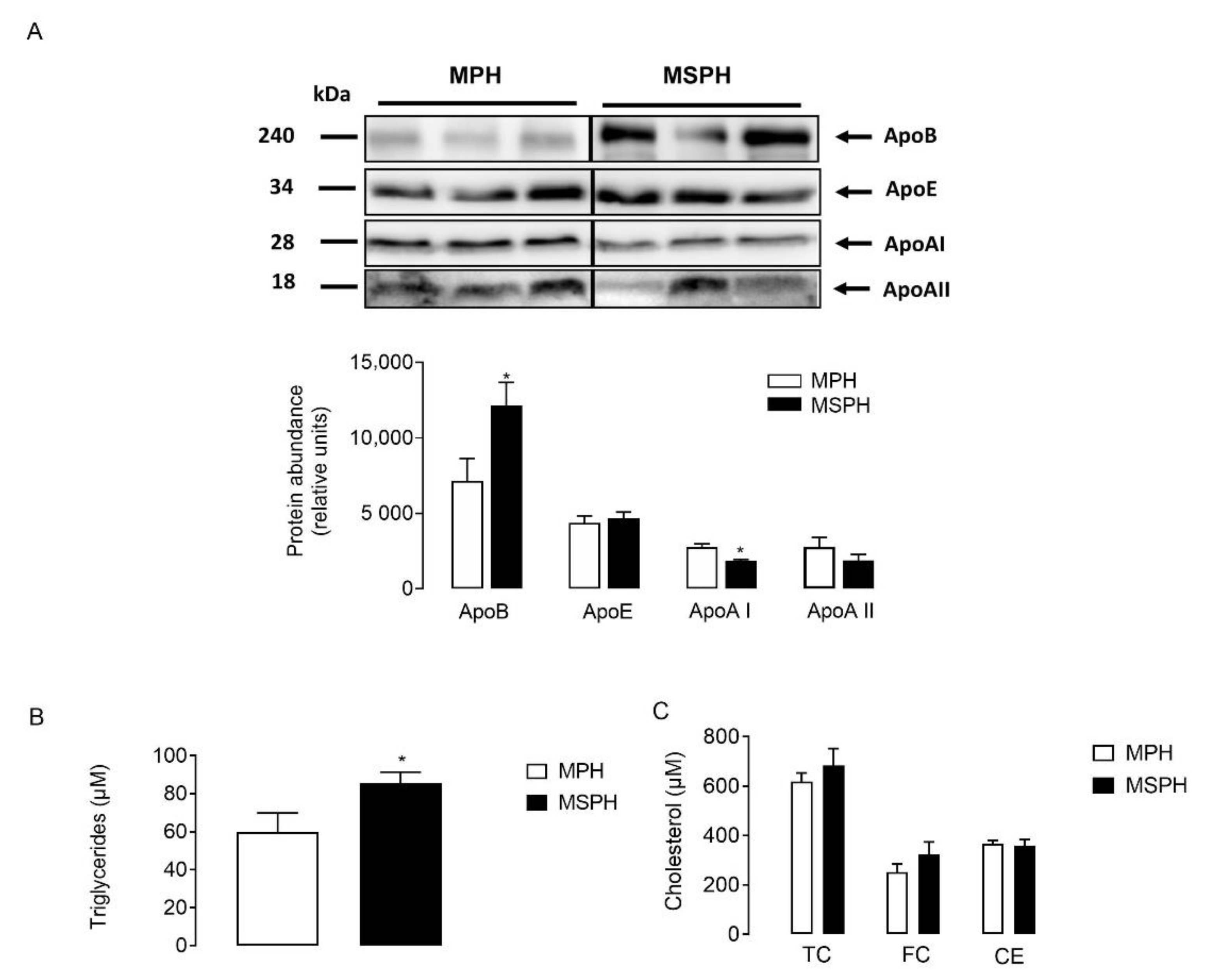 Antioxidants 11 00869 g004 550