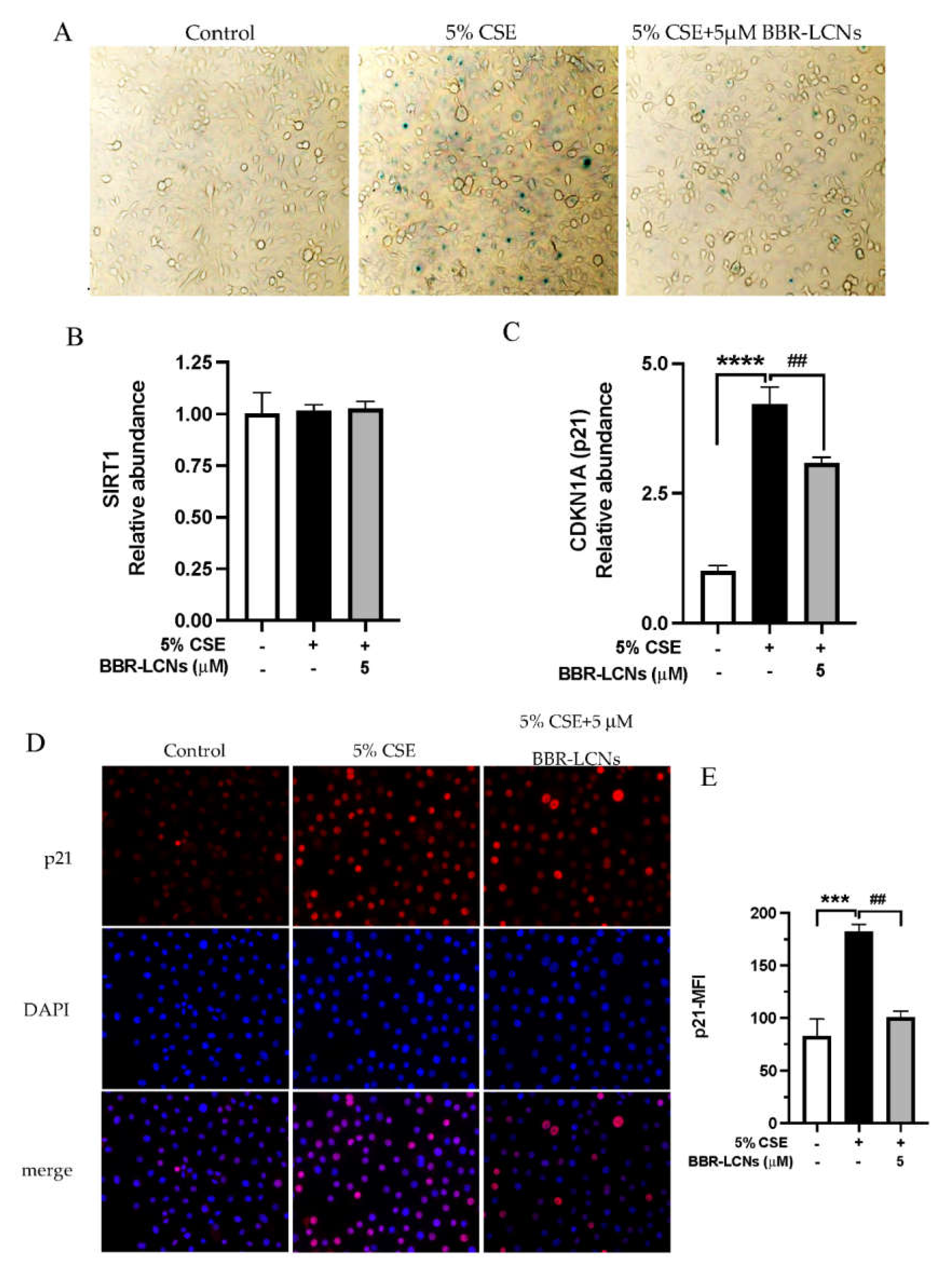 Antioxidants 11 00873 g003 550