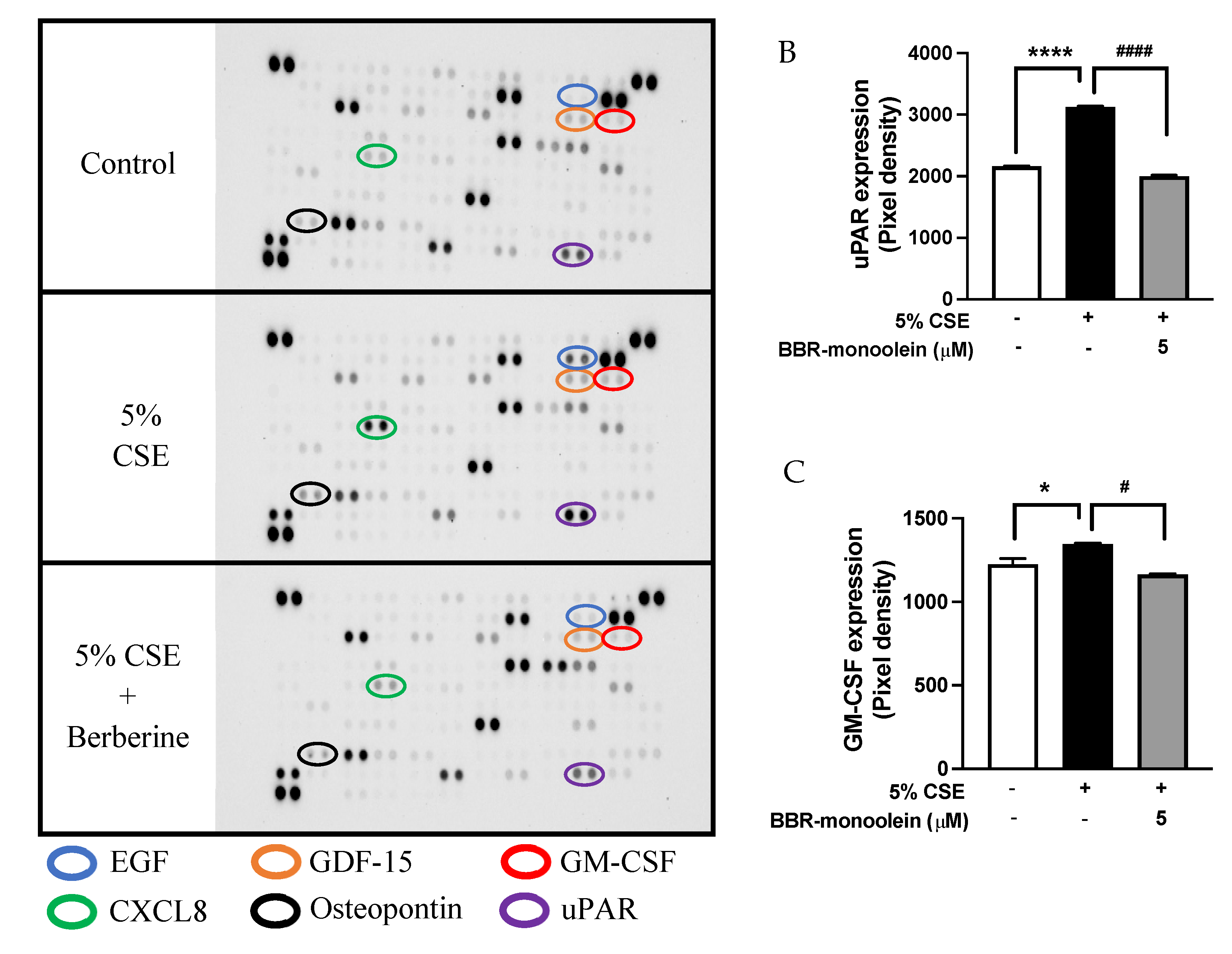 Antioxidants 11 00873 g005a 550