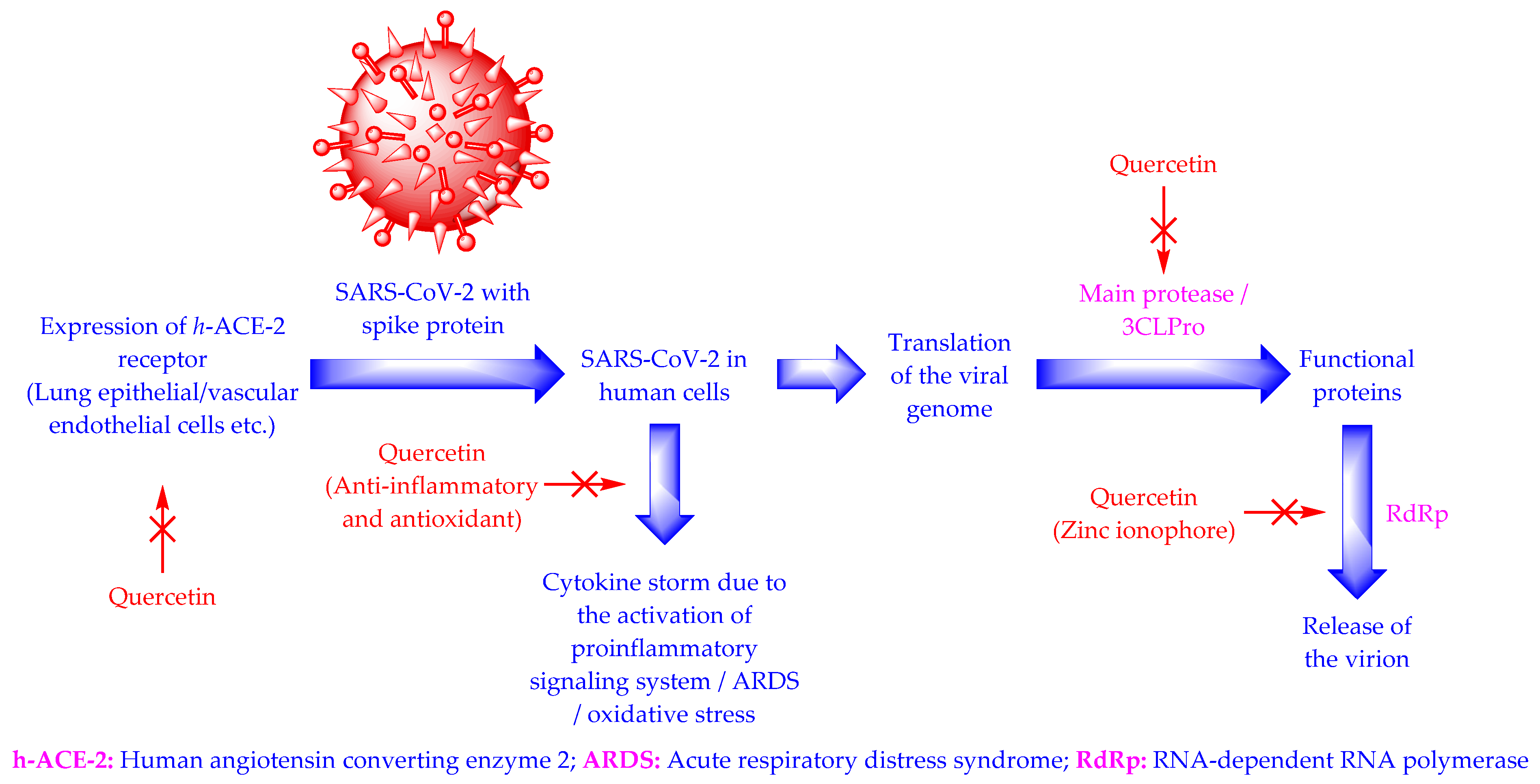 Antioxidants 11 00876 g003 550