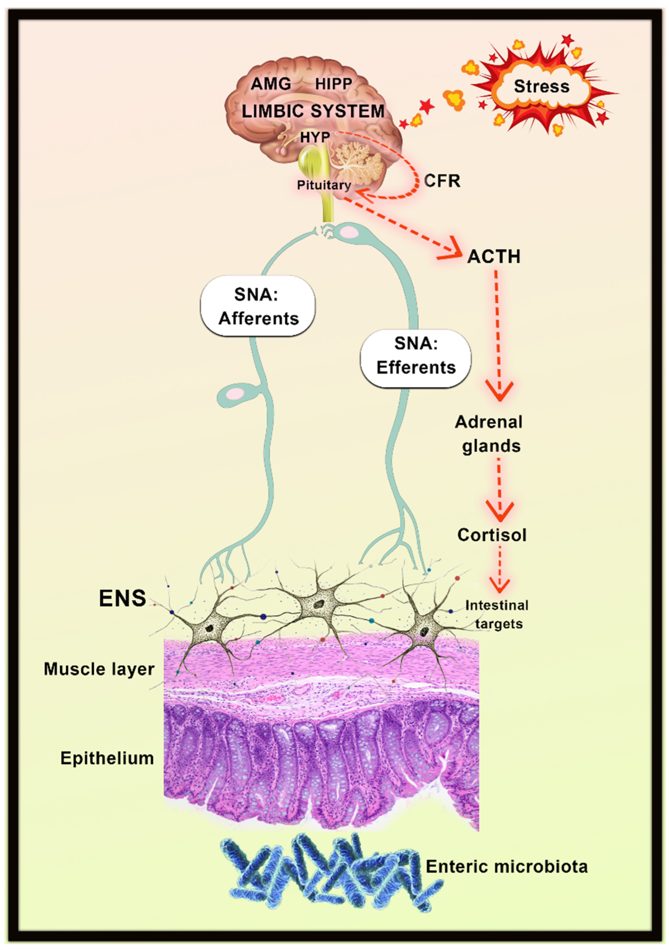 Antioxidants 11 00883 g003 Antioxidants 11 00883 g003