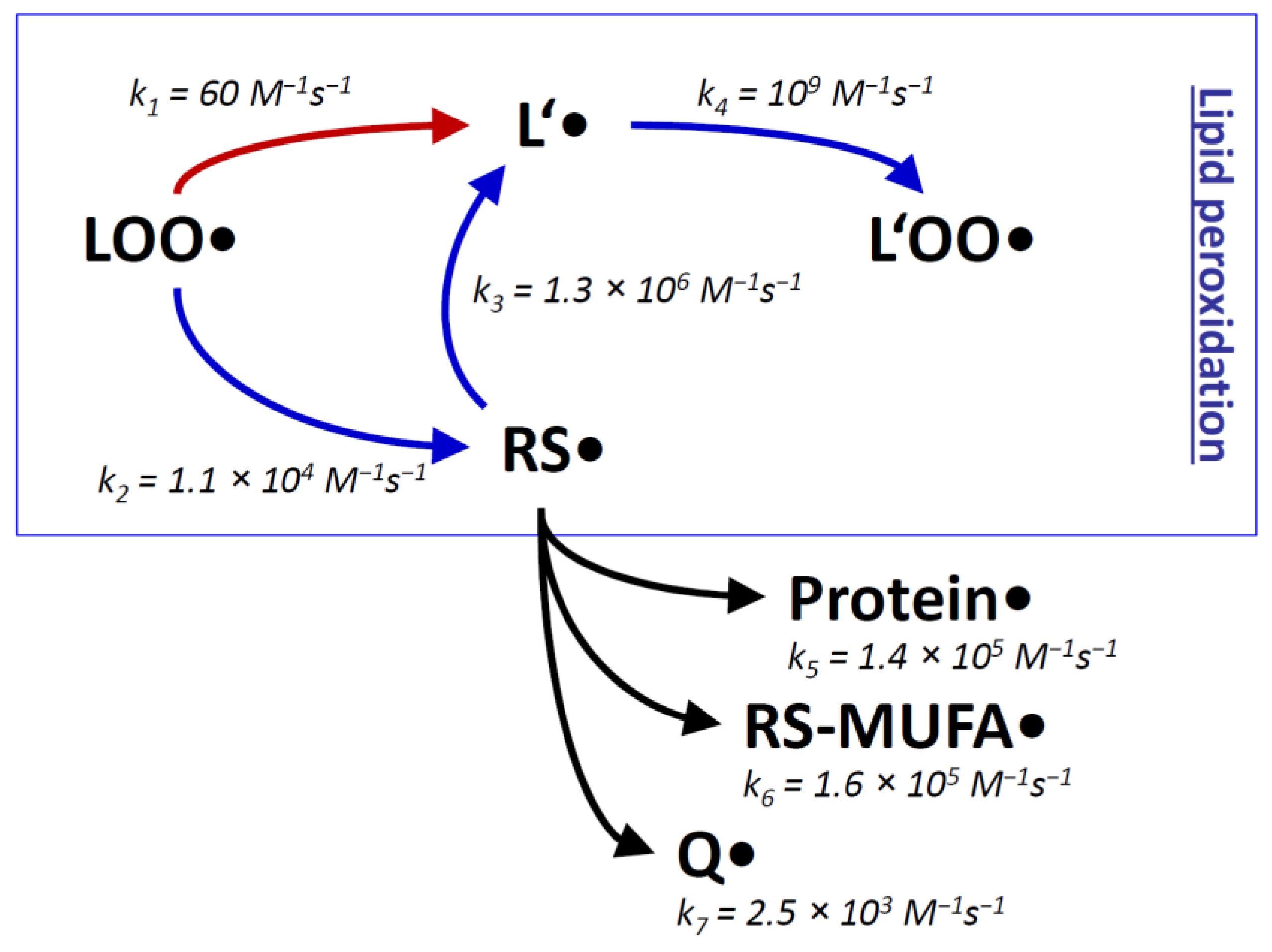 Antioxidants 11 00885 g001