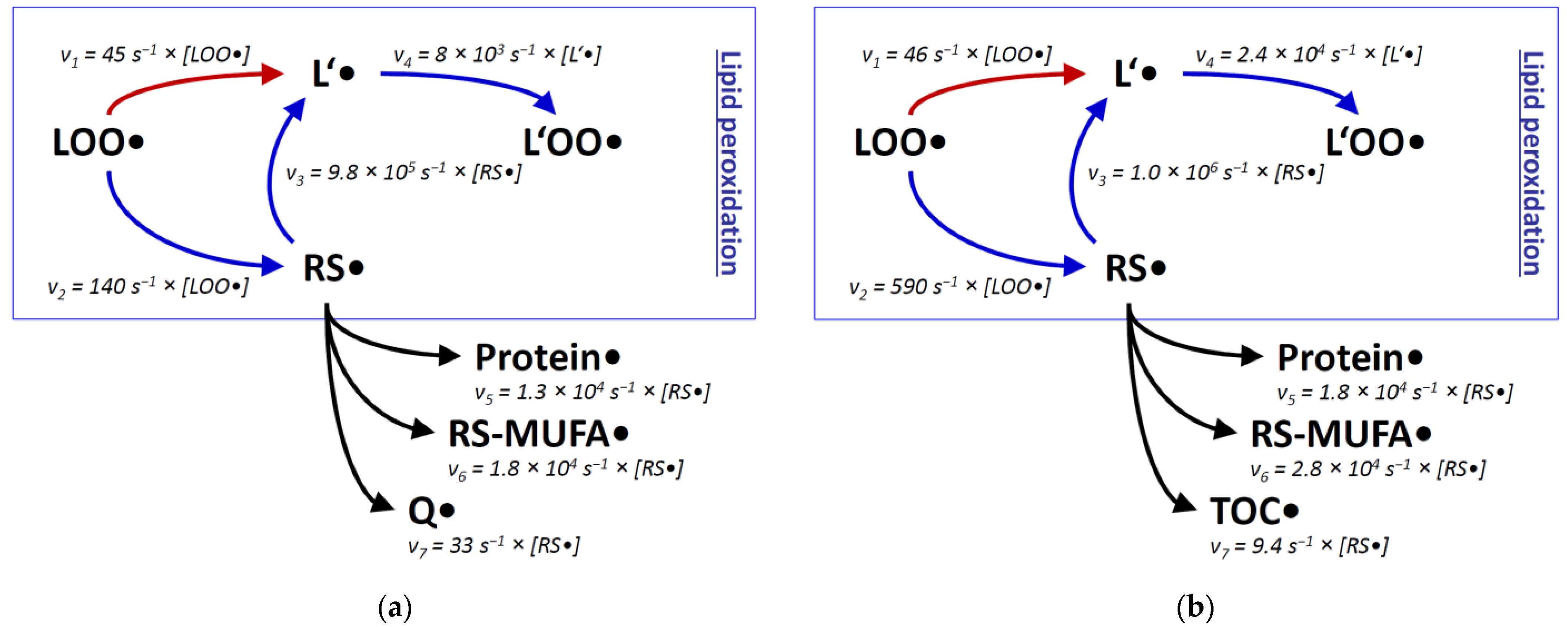 Antioxidants 11 00885 g002