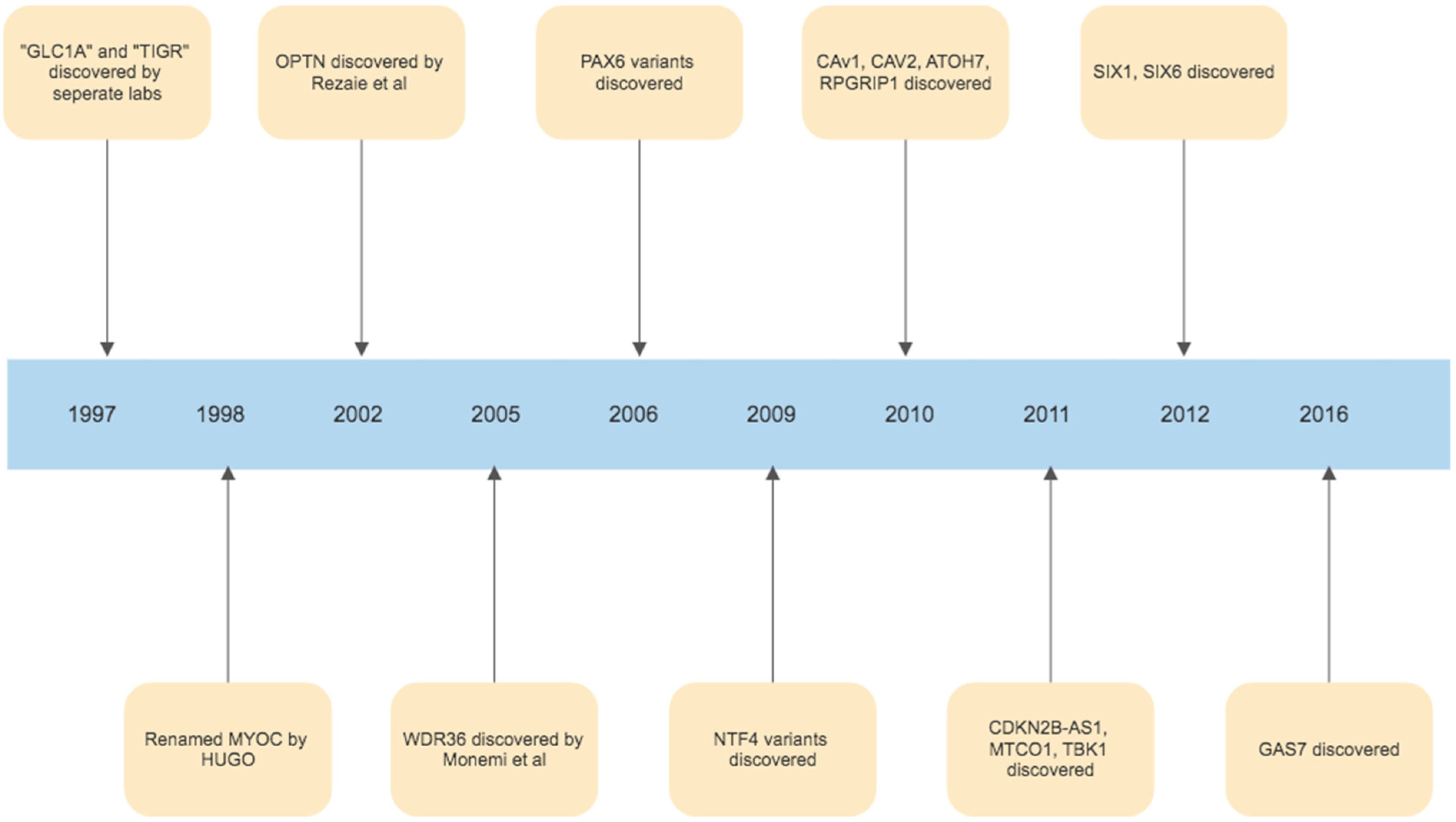 Antioxidants 11 00886 g004 Antioxidants 11 00886 g004